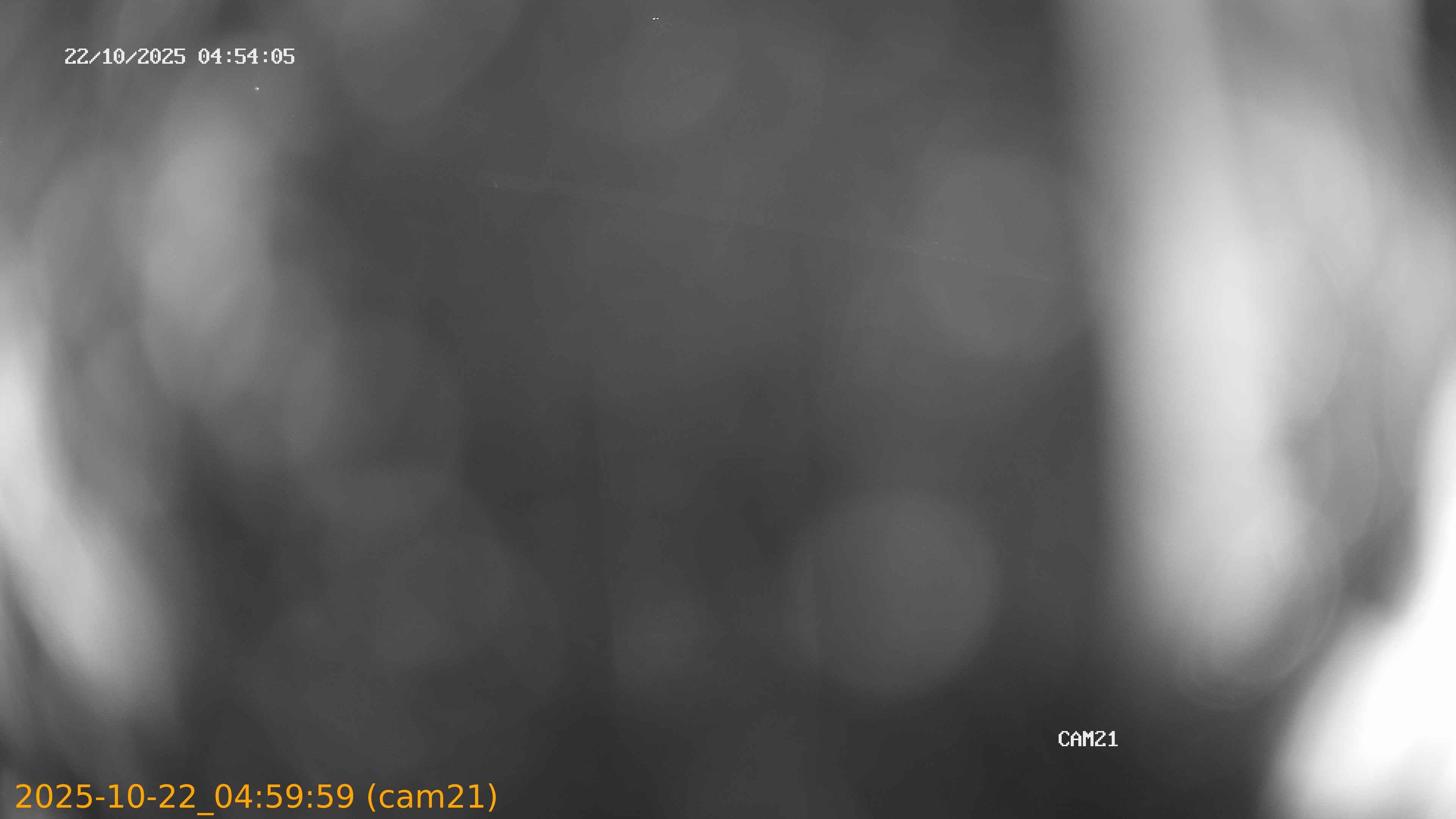 thumbnail_2025102204