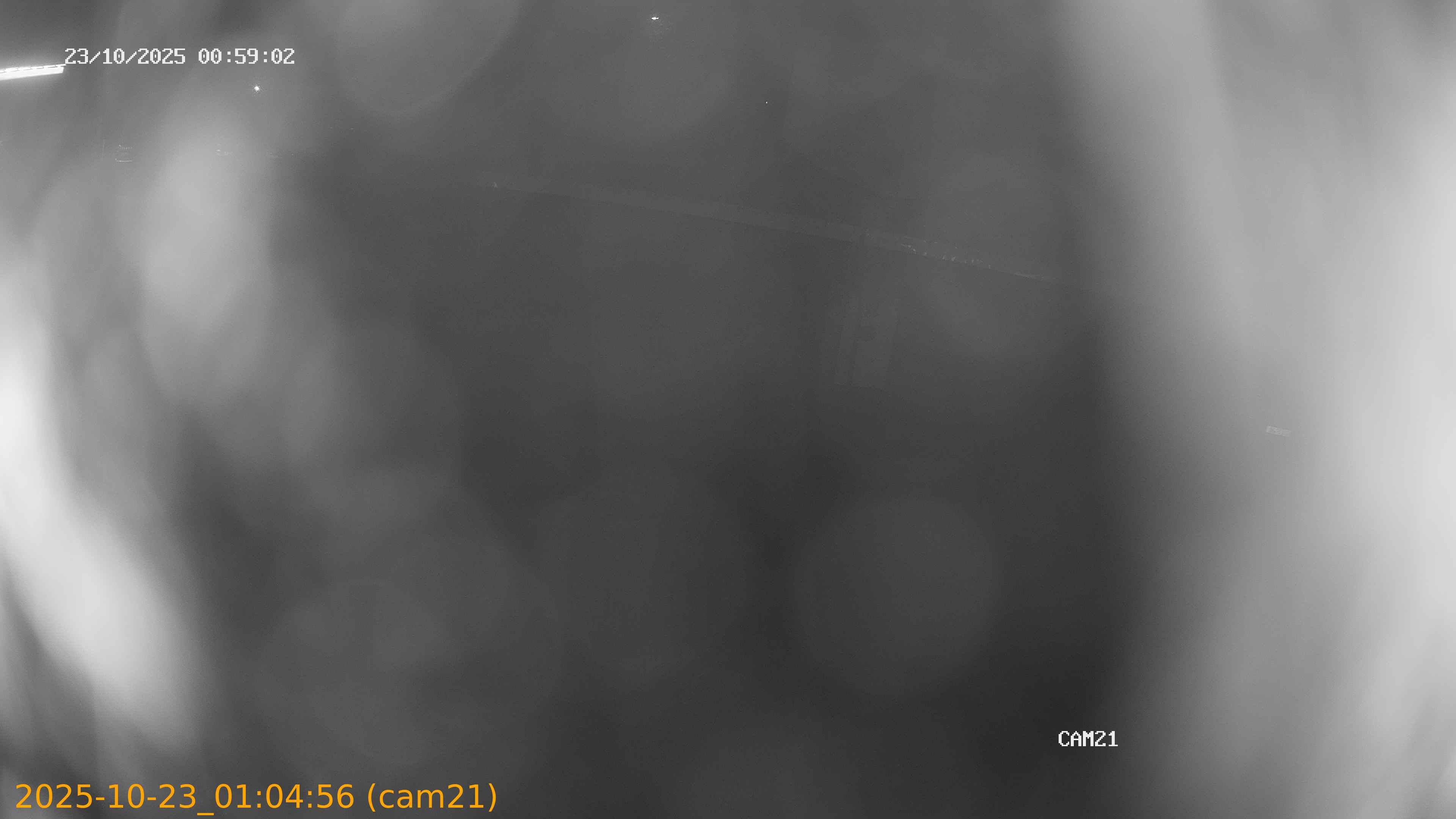 20251023010456