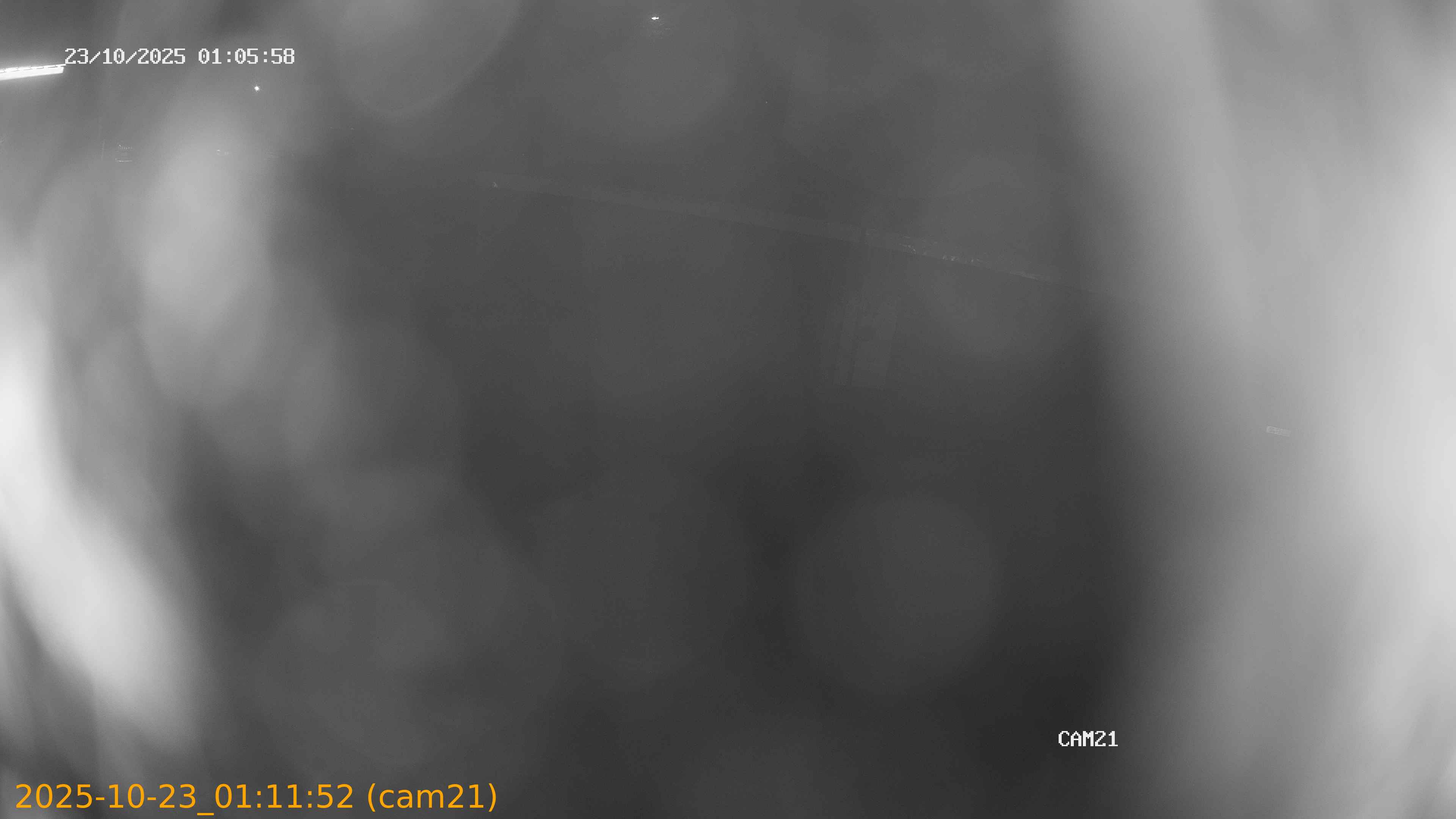 20251023011152