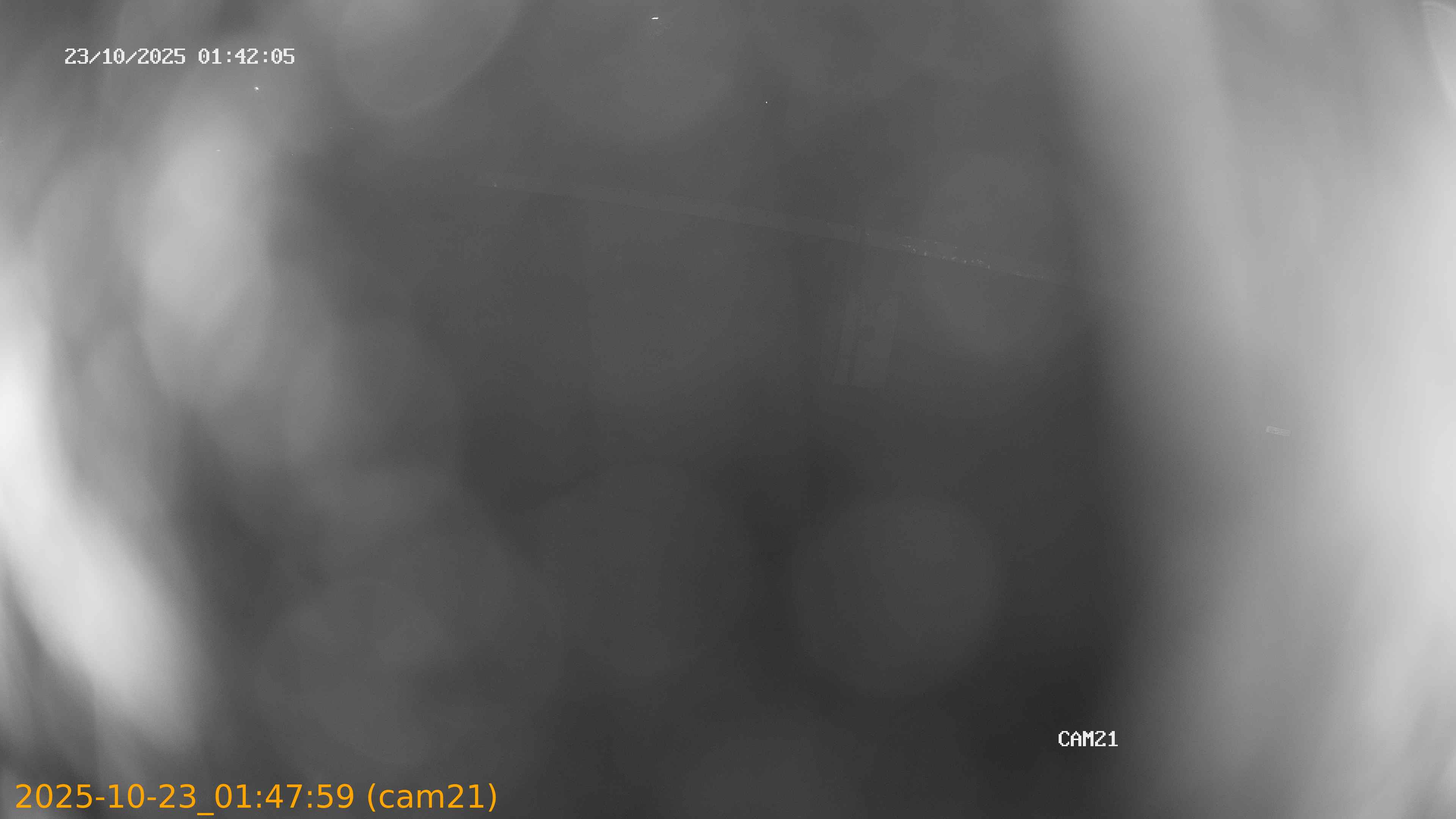 202510230147