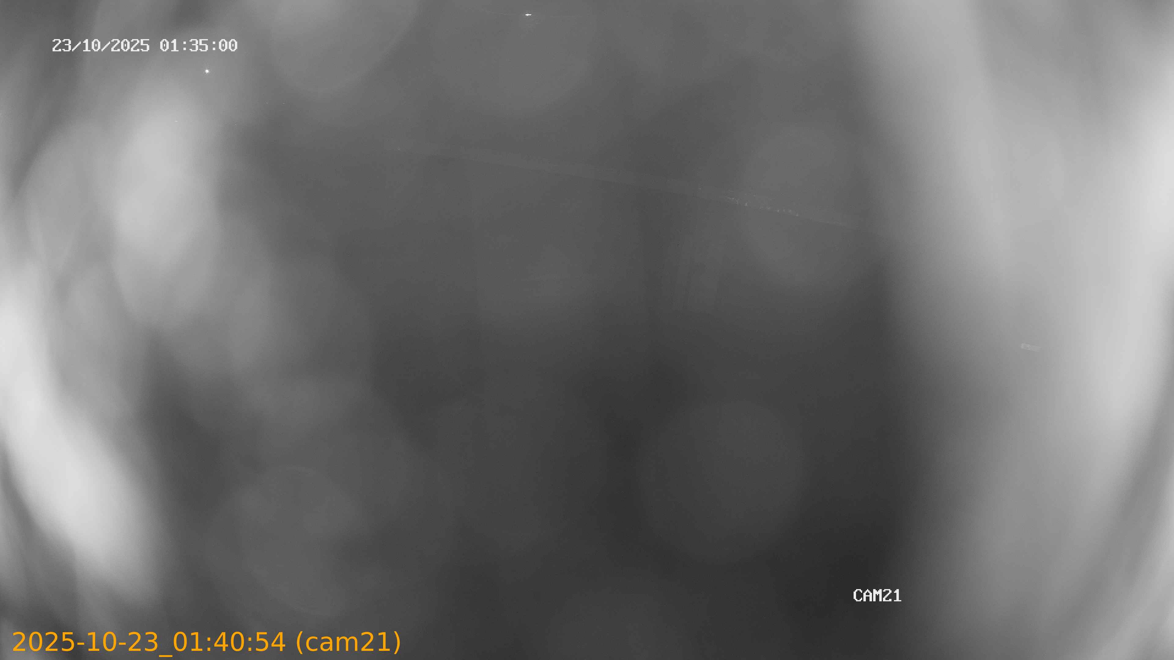 20251023014054