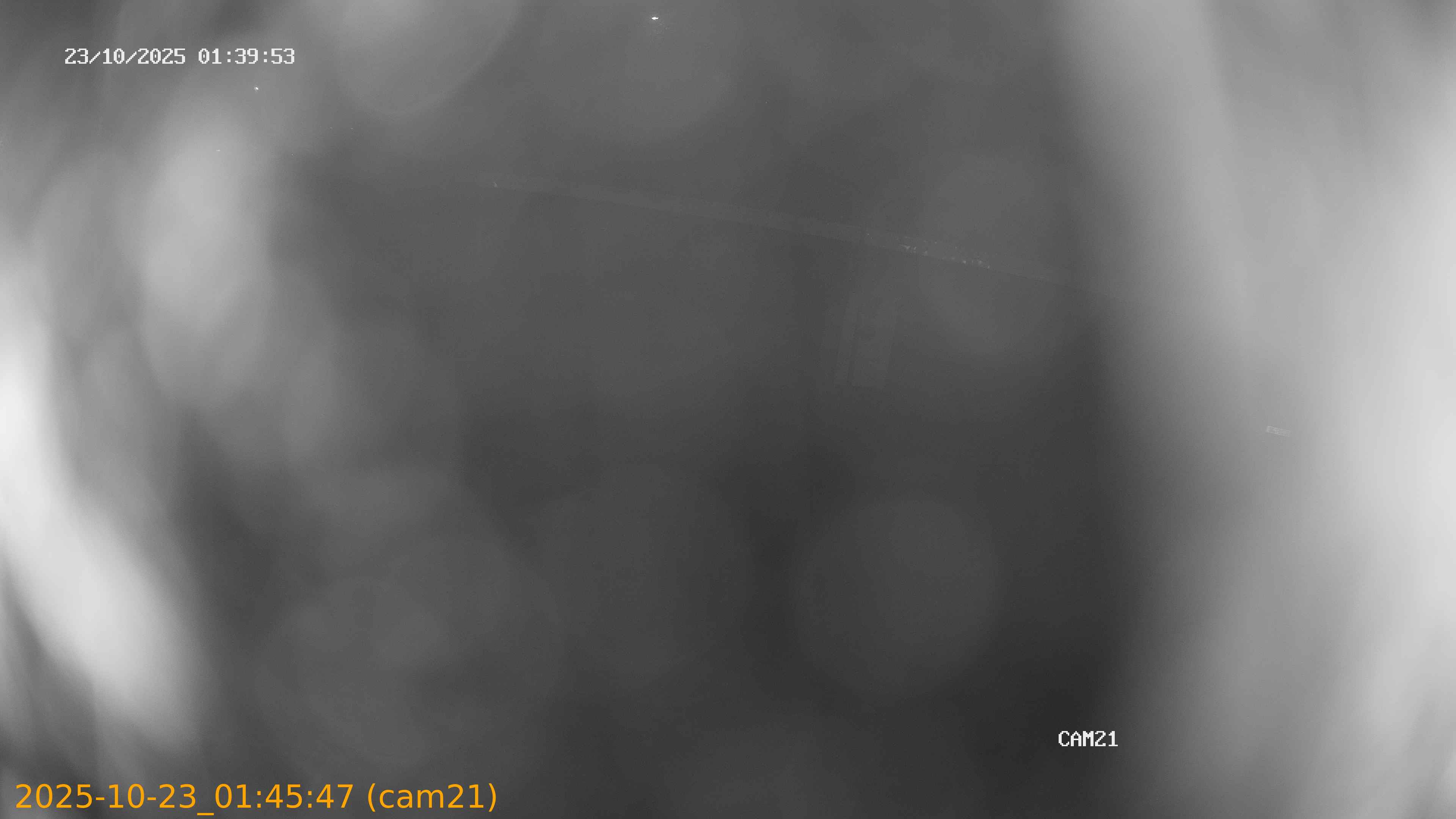 20251023014547