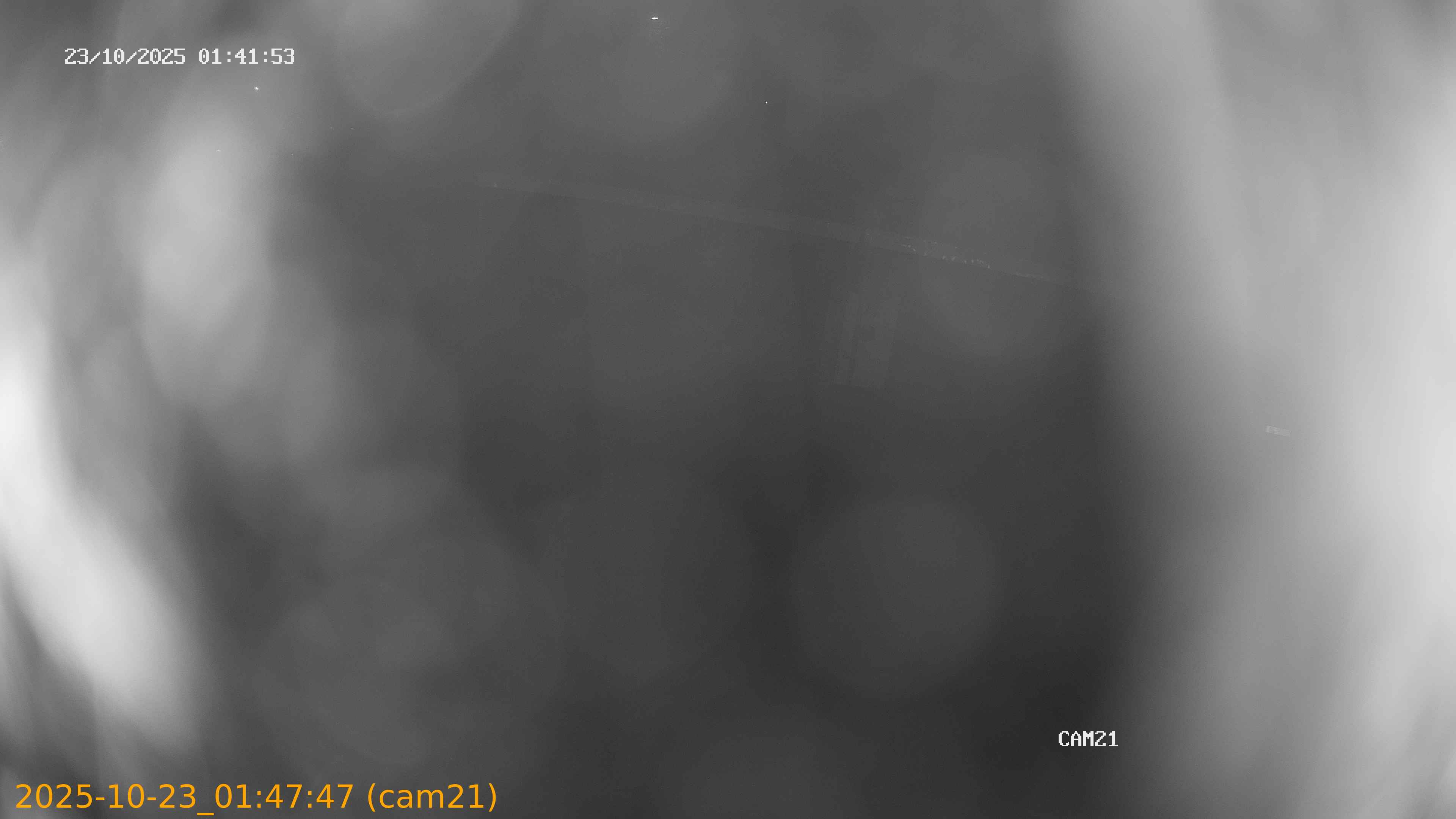 20251023014747