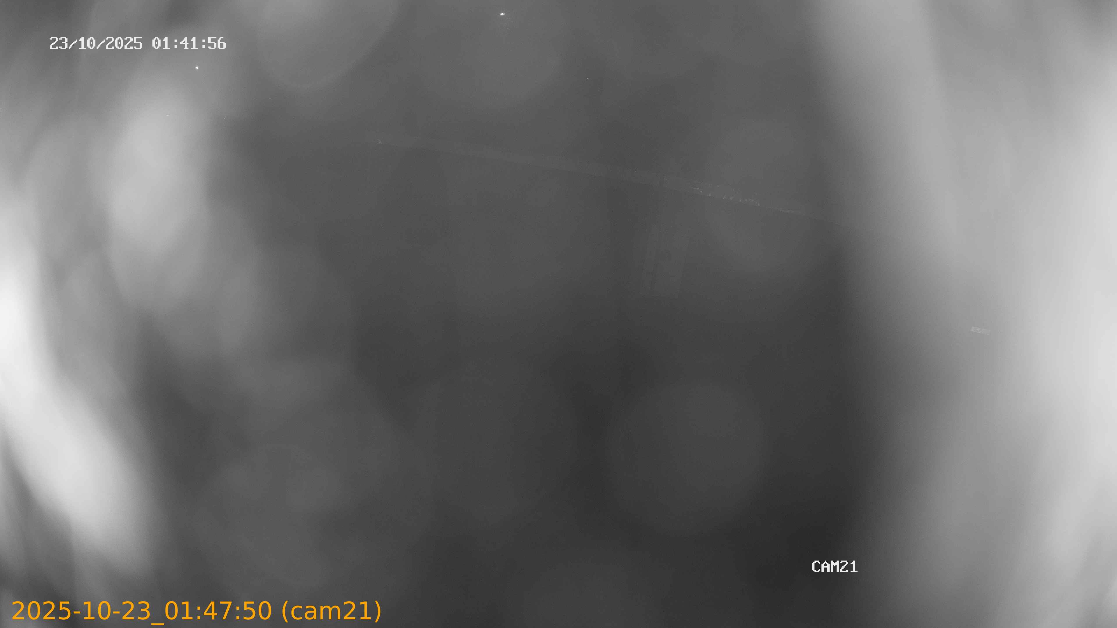 20251023014750