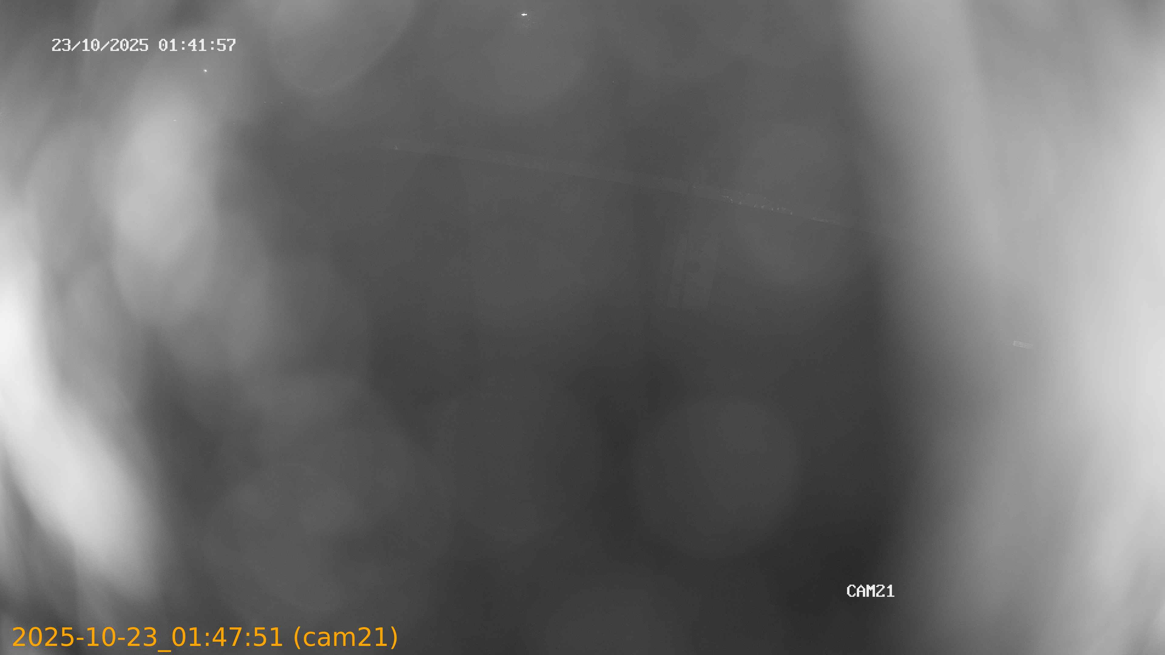 20251023014751