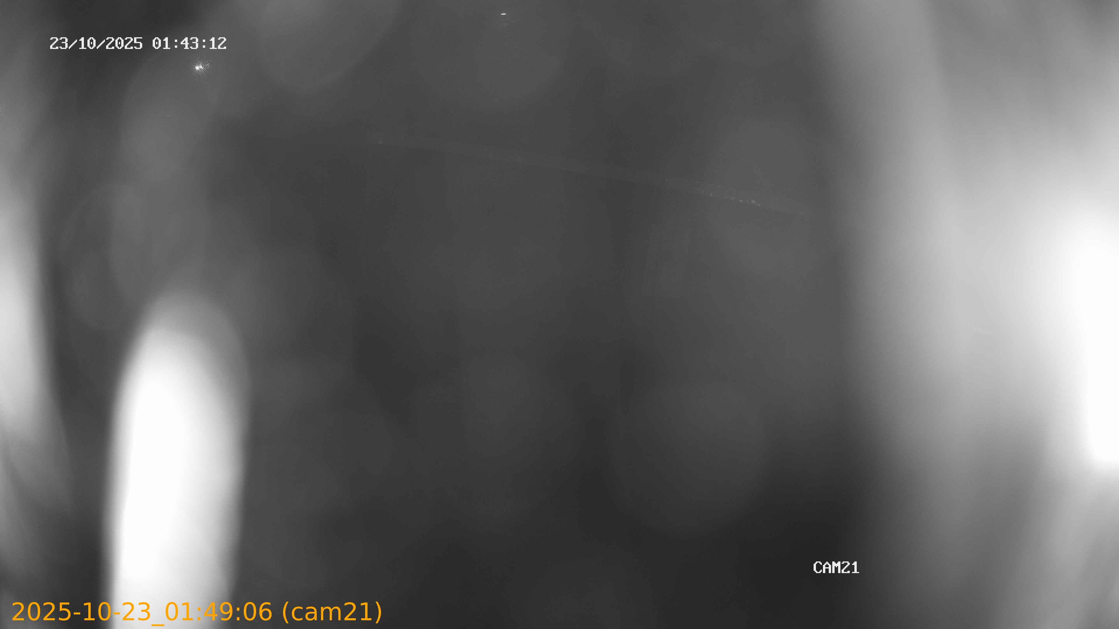20251023014906