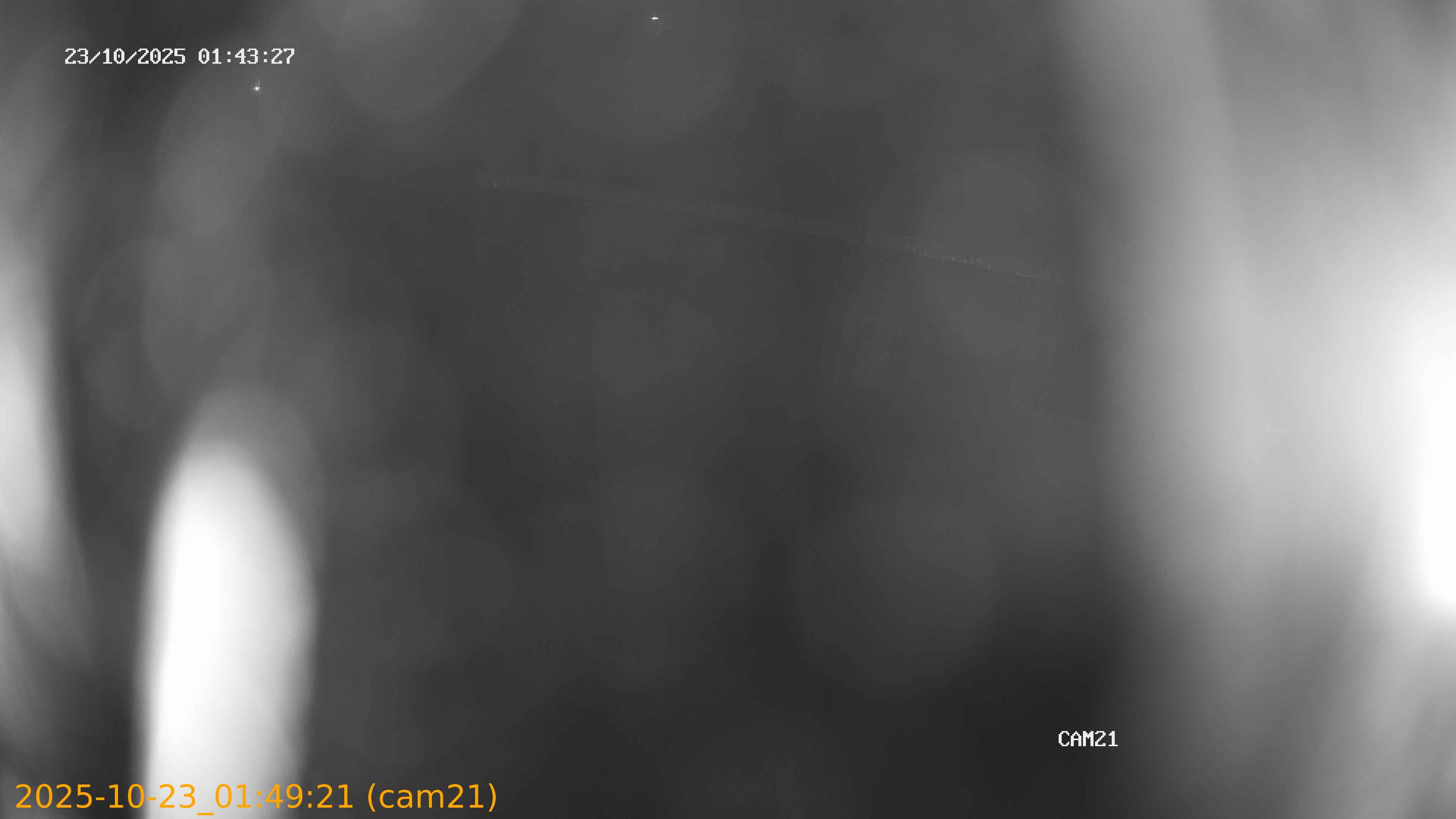 20251023014921