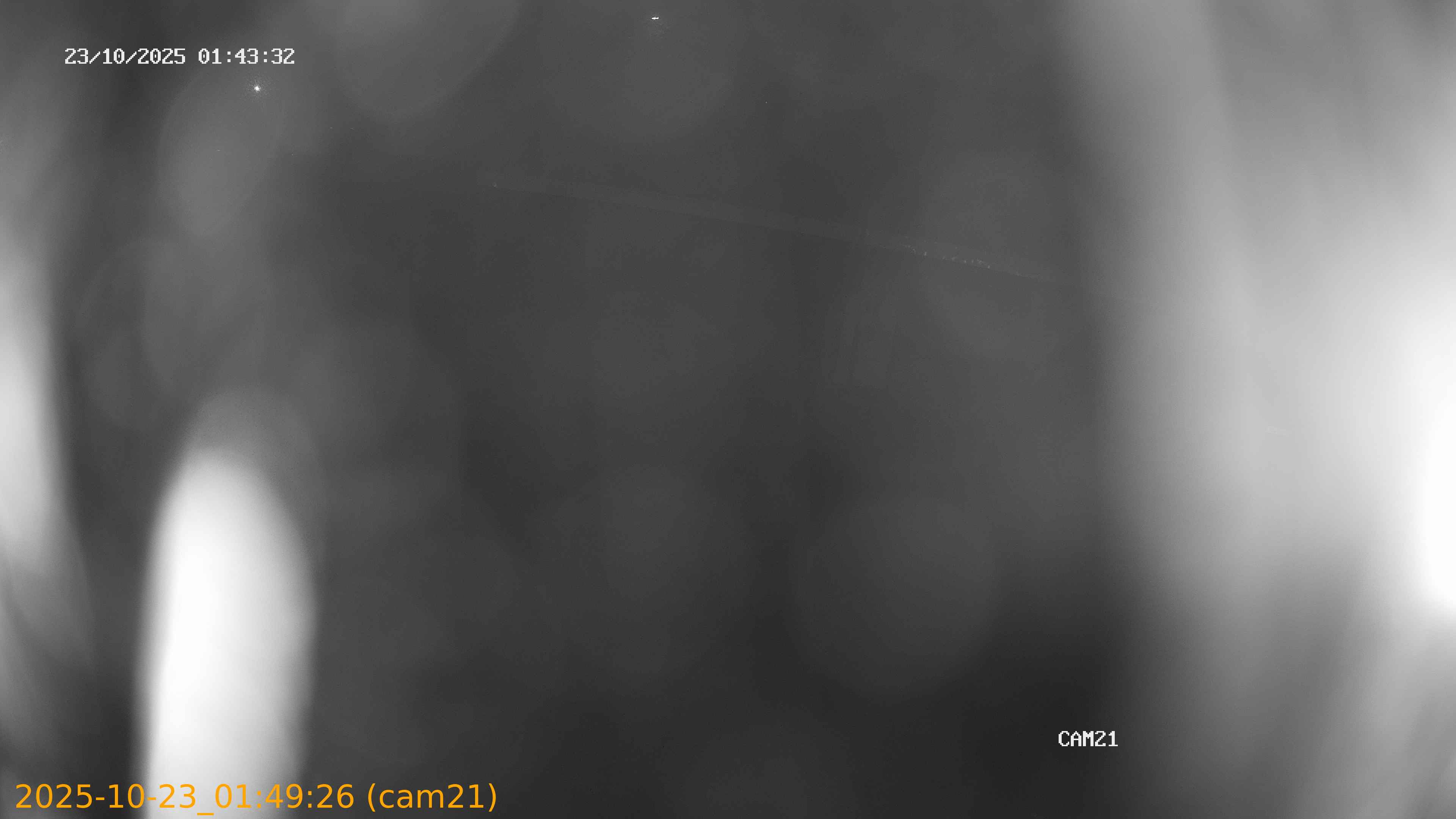 20251023014926