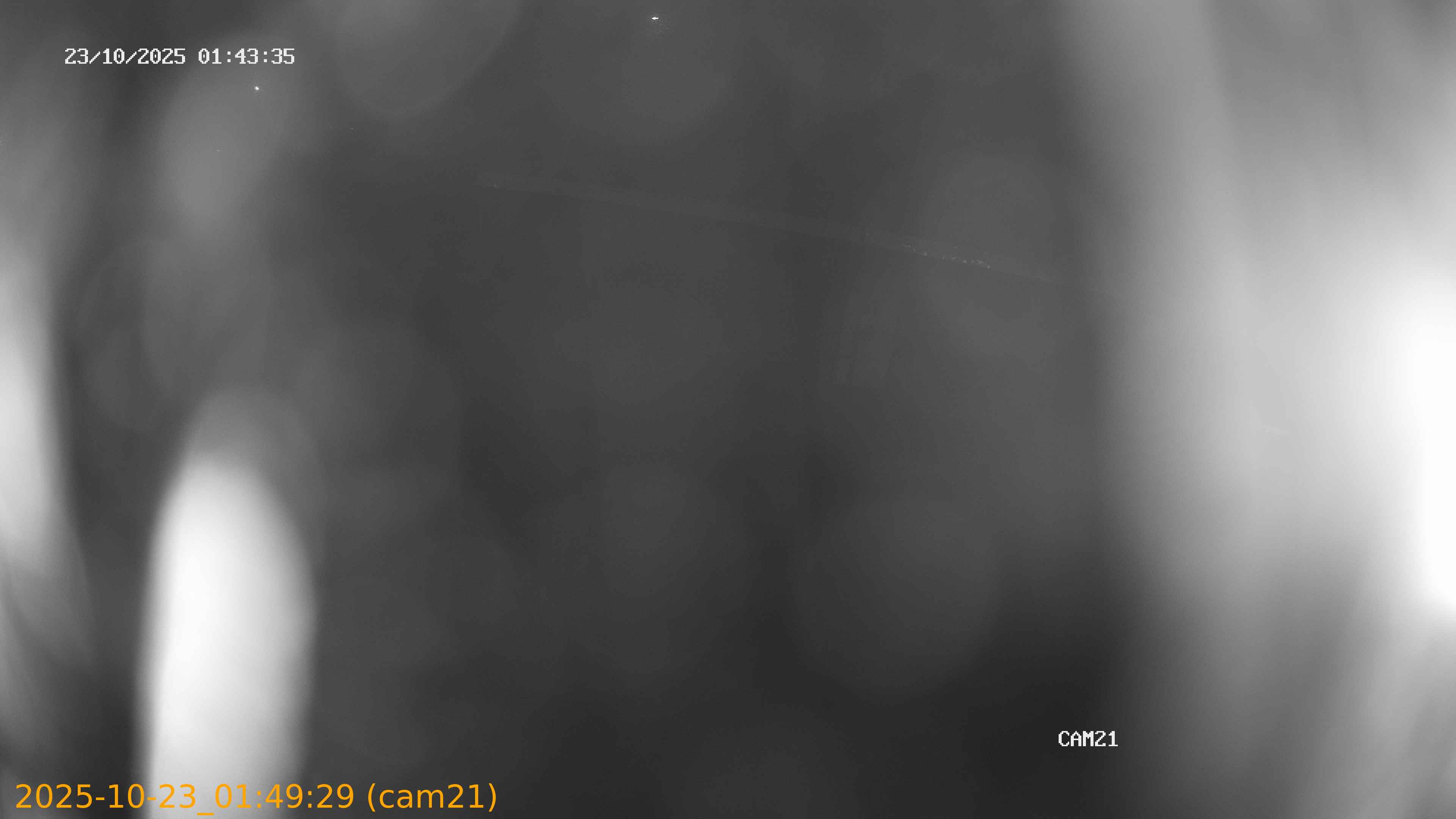 20251023014929