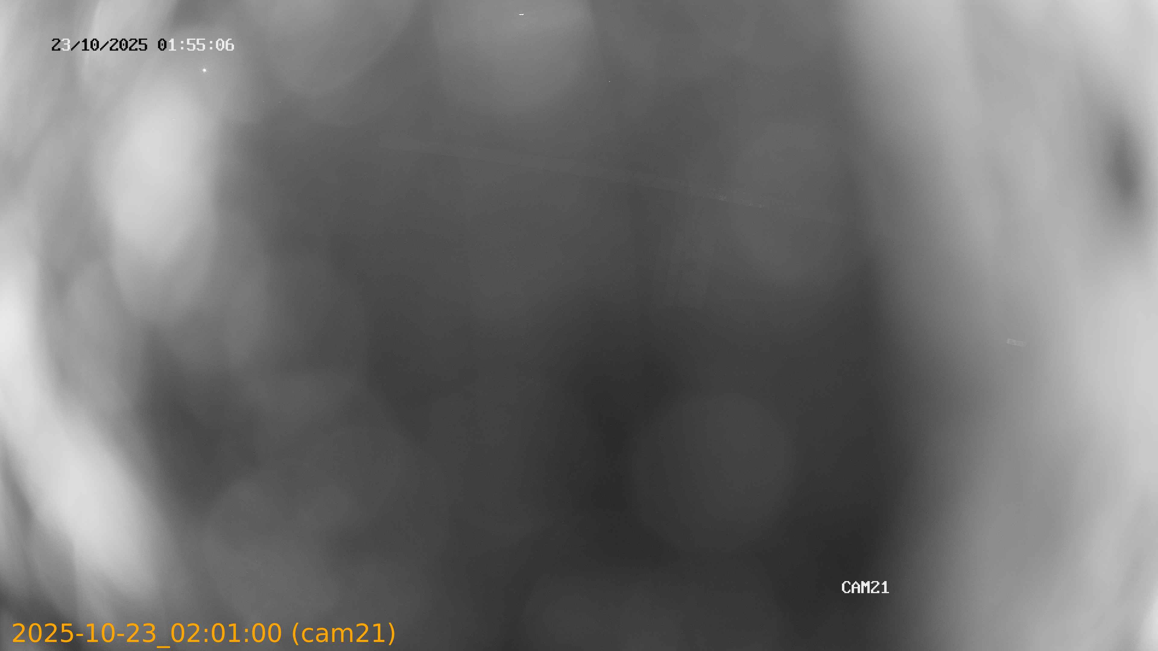 20251023020100