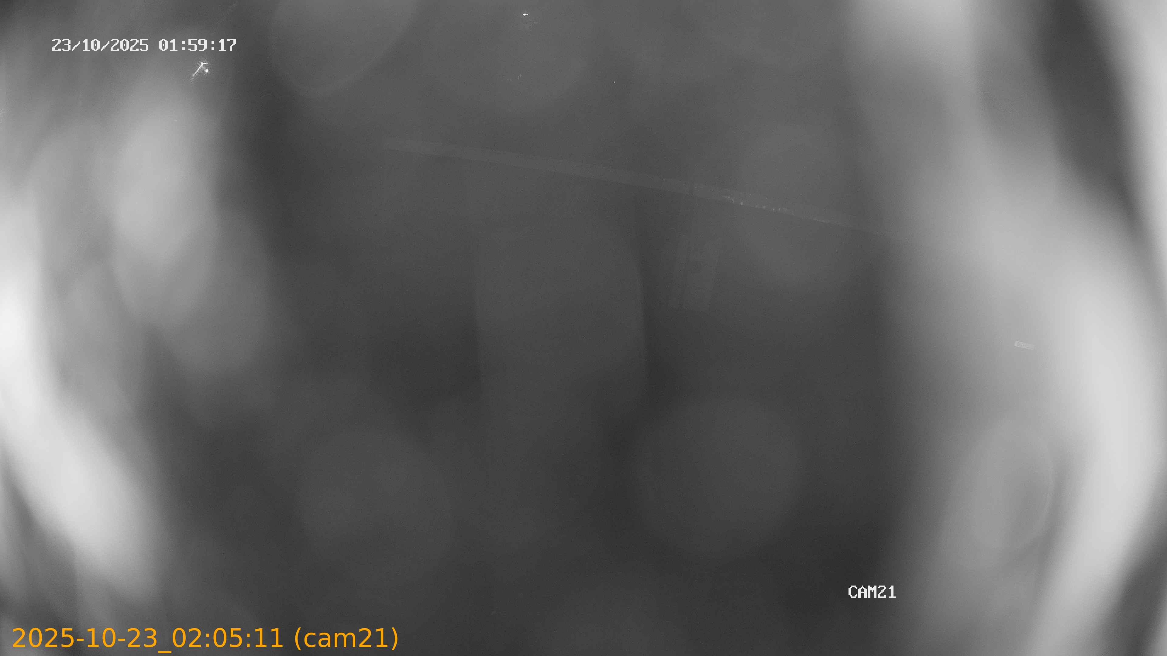 20251023020511
