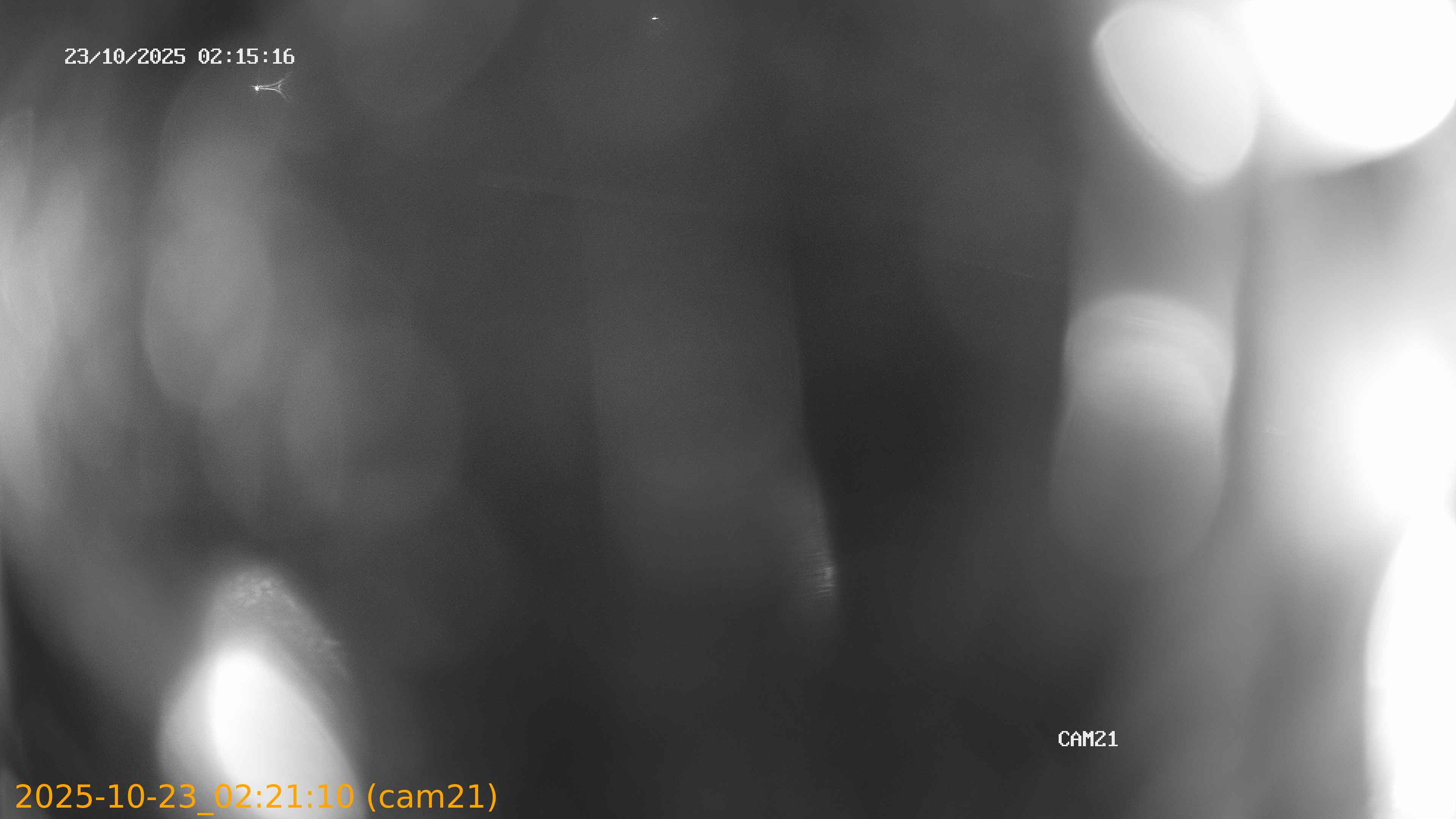 20251023022110