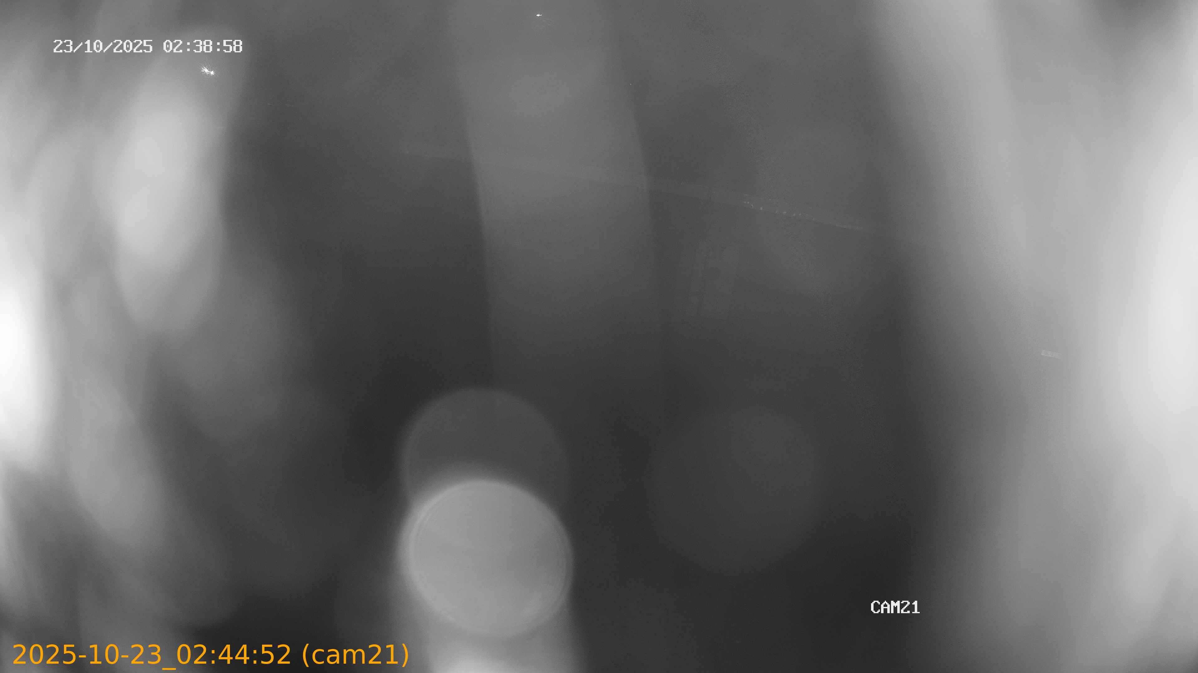 20251023024452