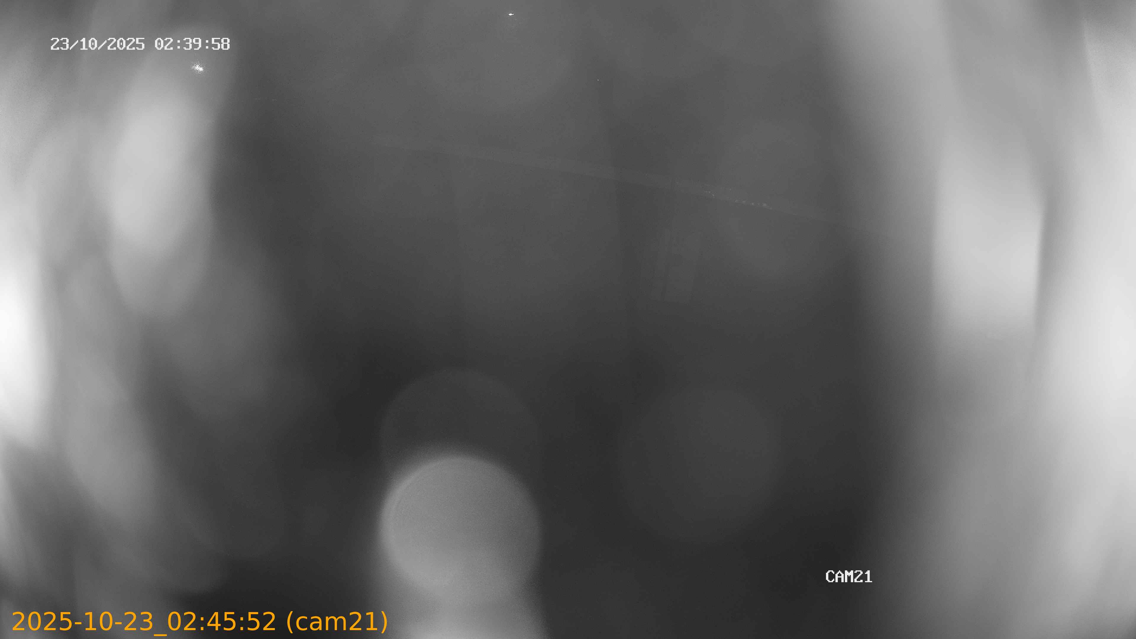 20251023024552