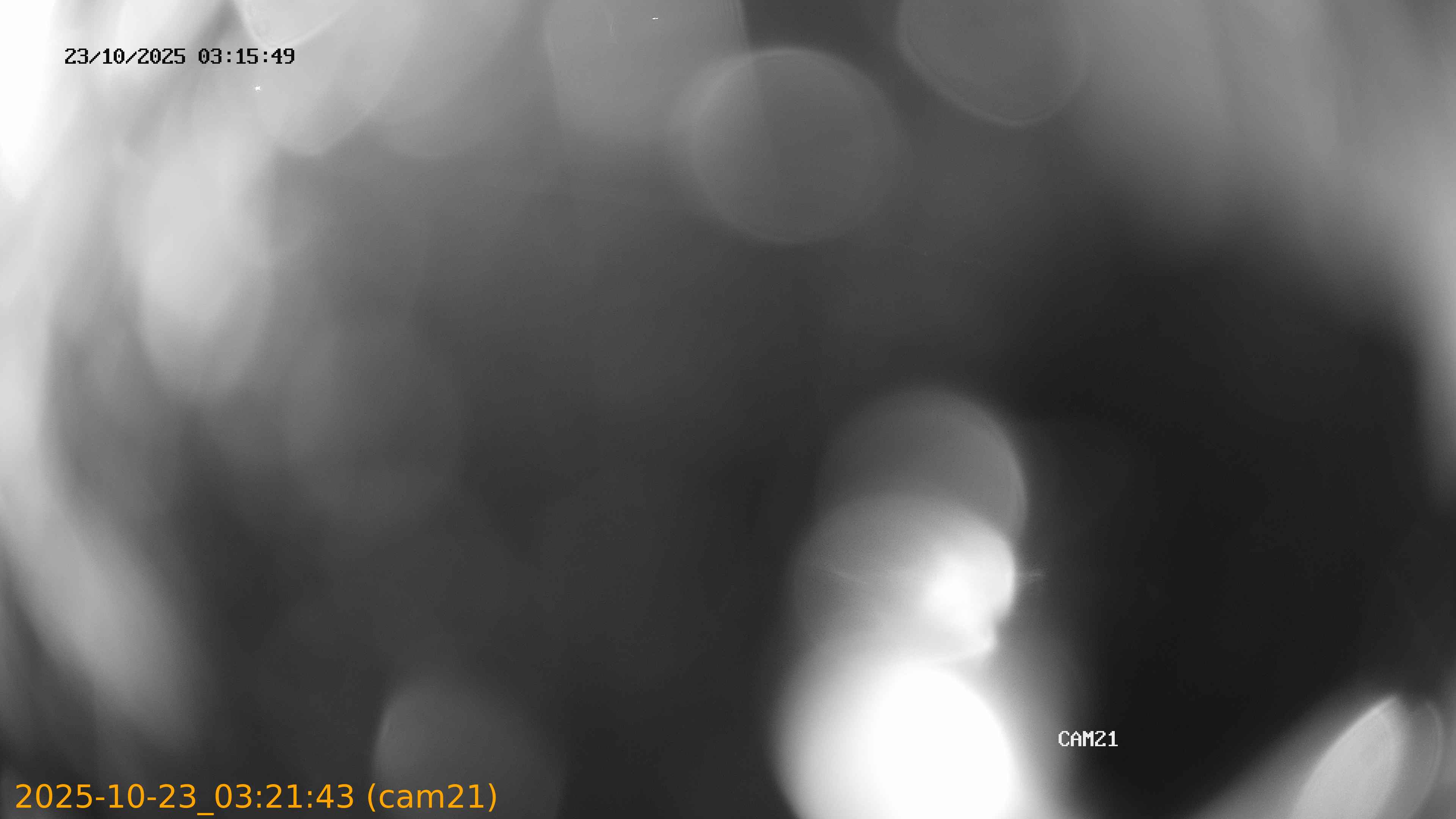 20251023032143