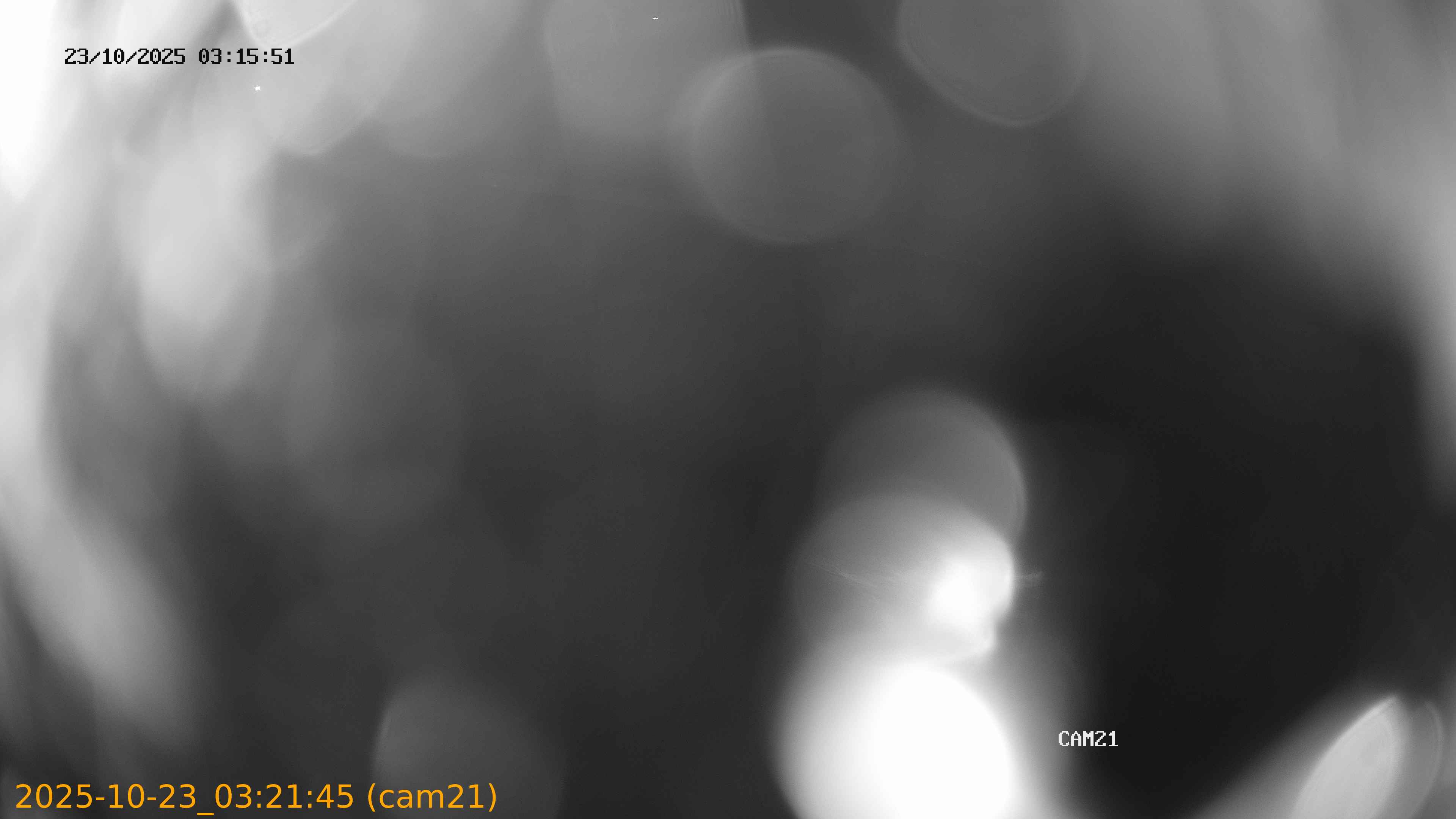 20251023032145
