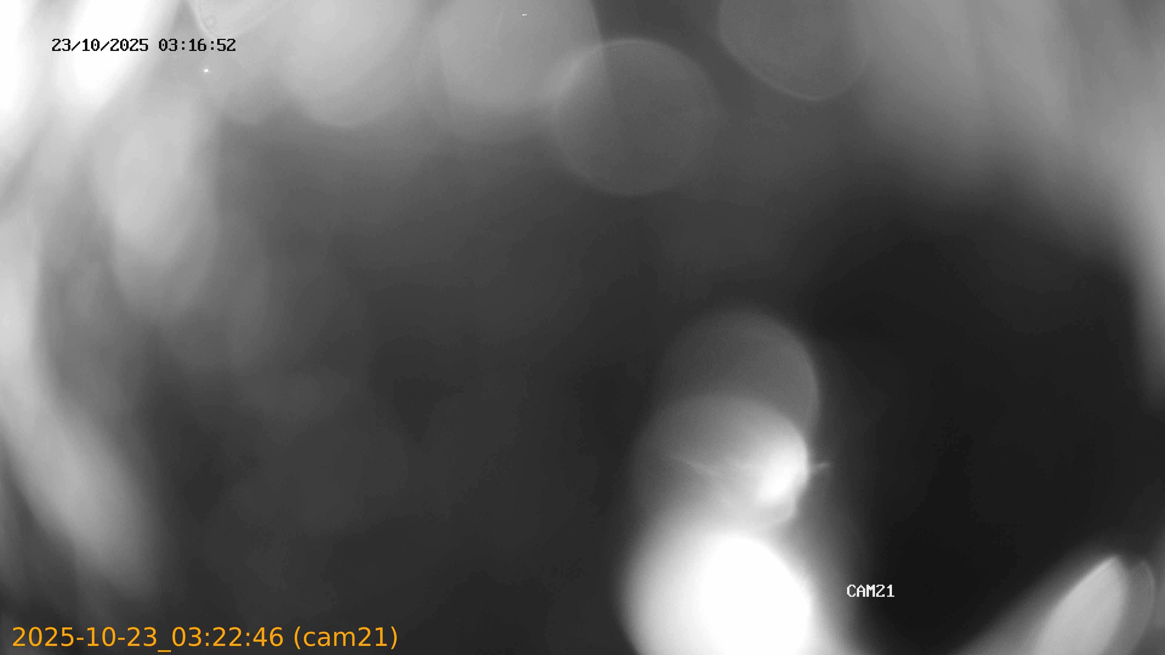20251023032246