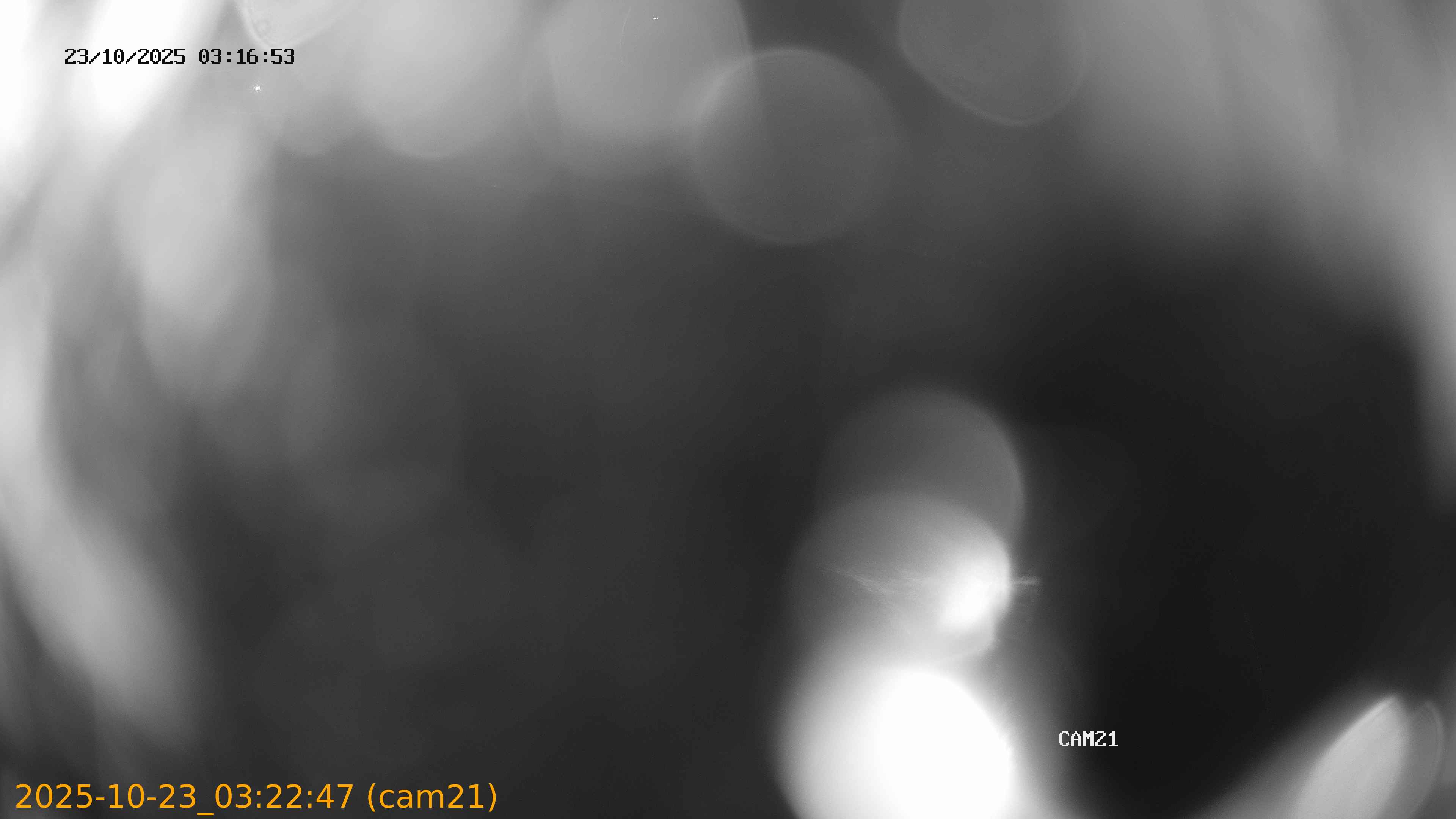 20251023032247