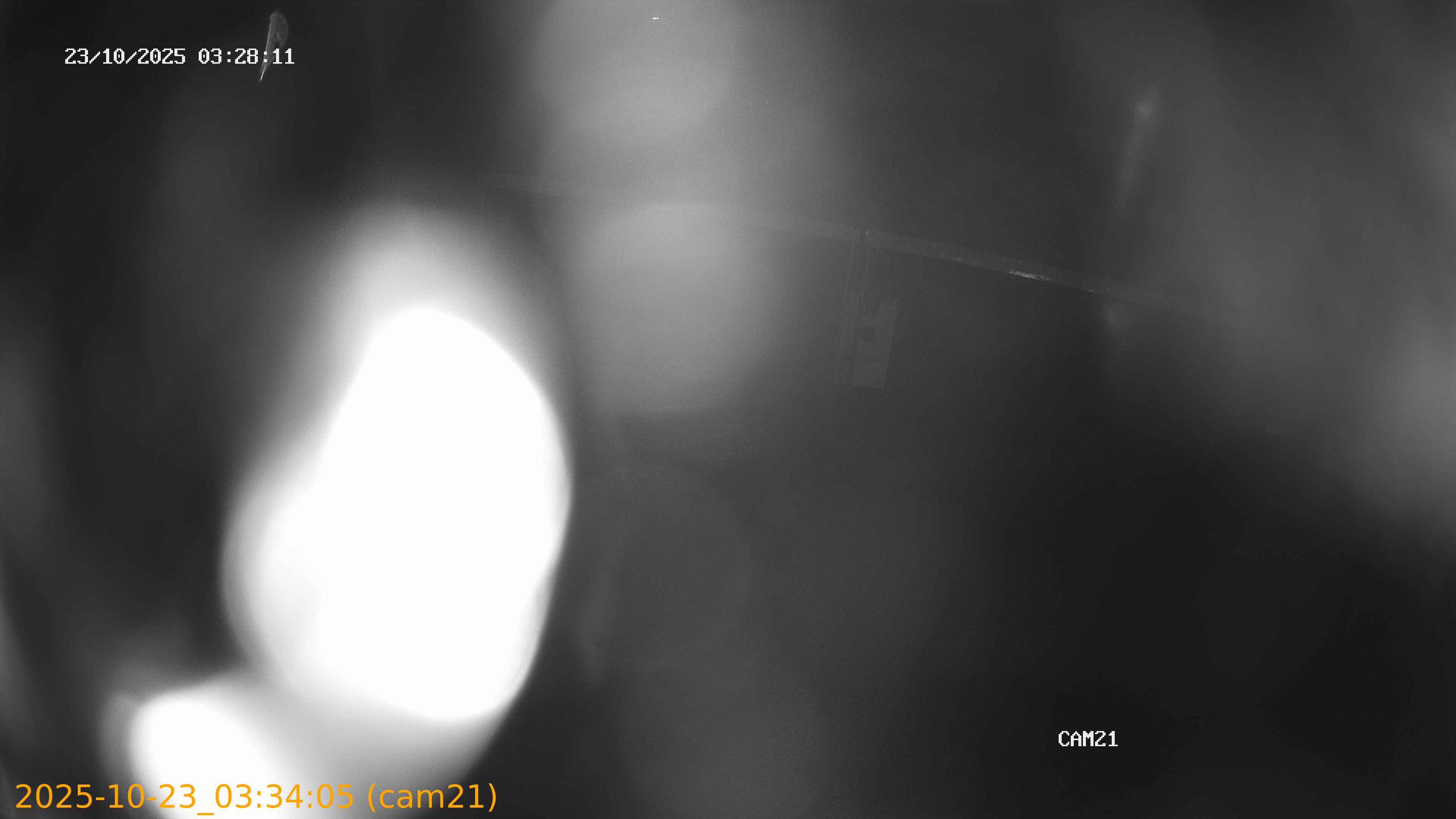 20251023033405
