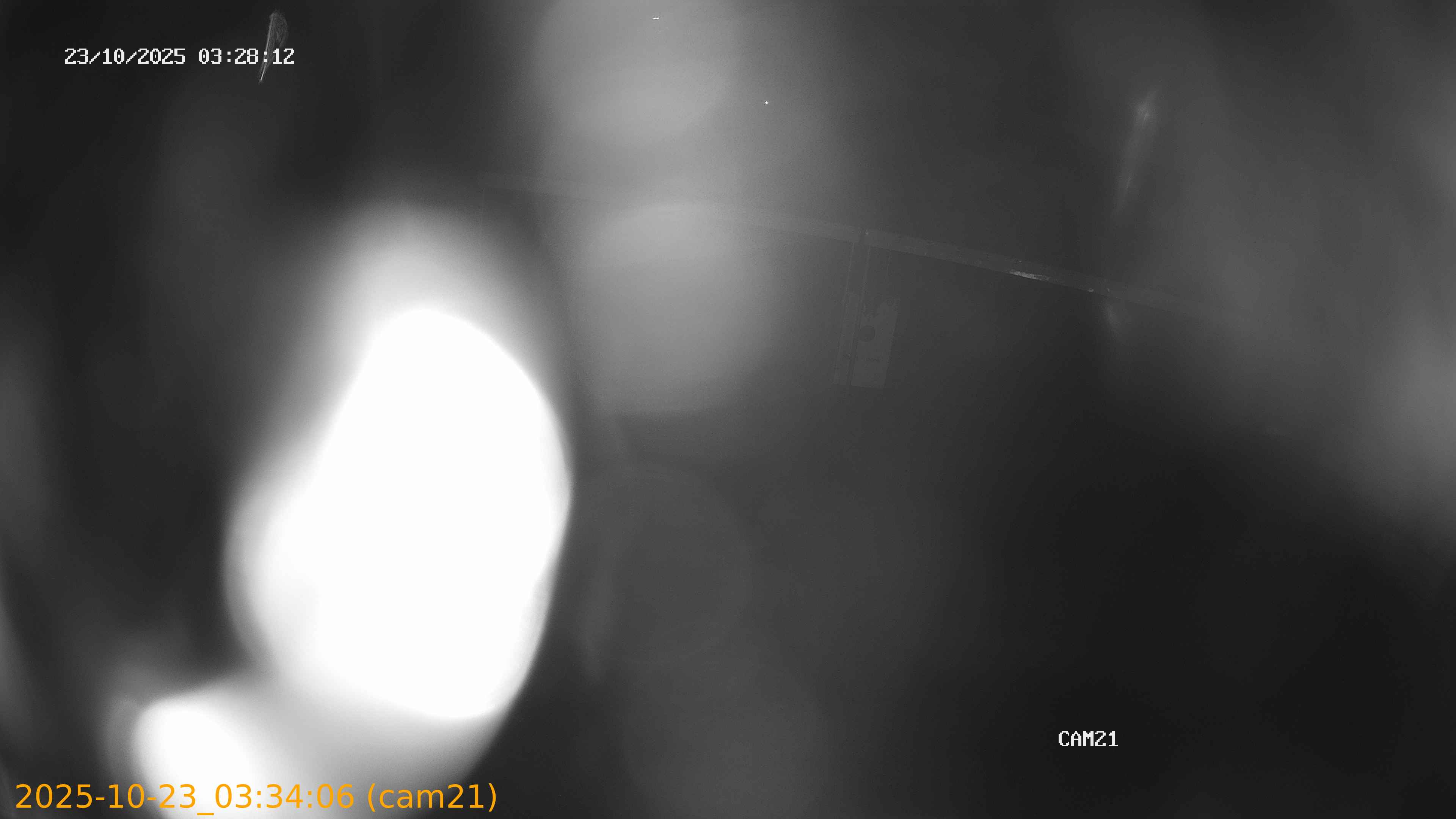20251023033406