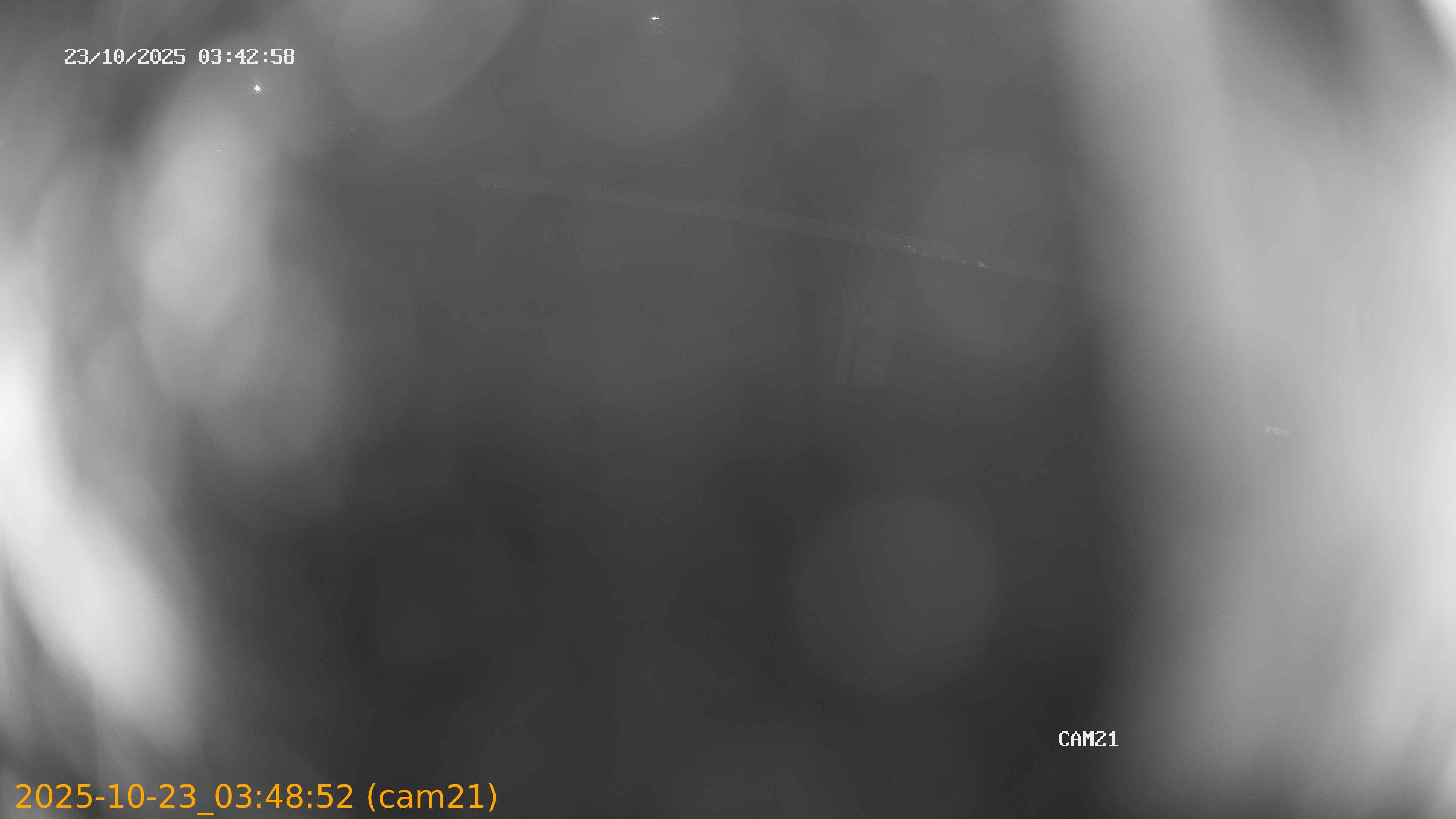 20251023034852
