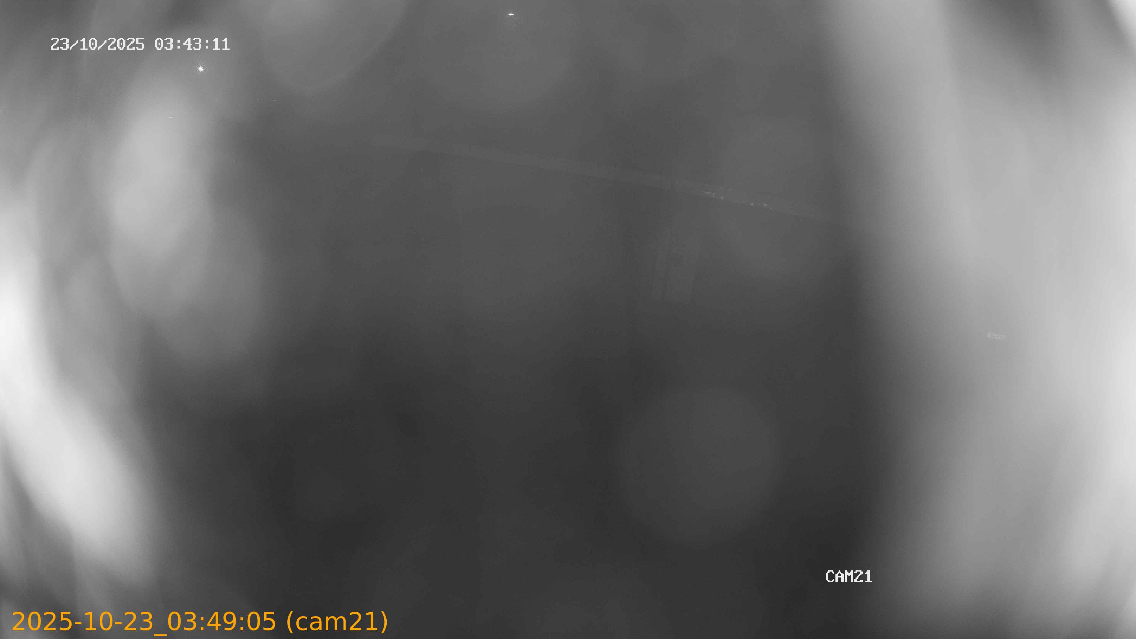 20251023034905