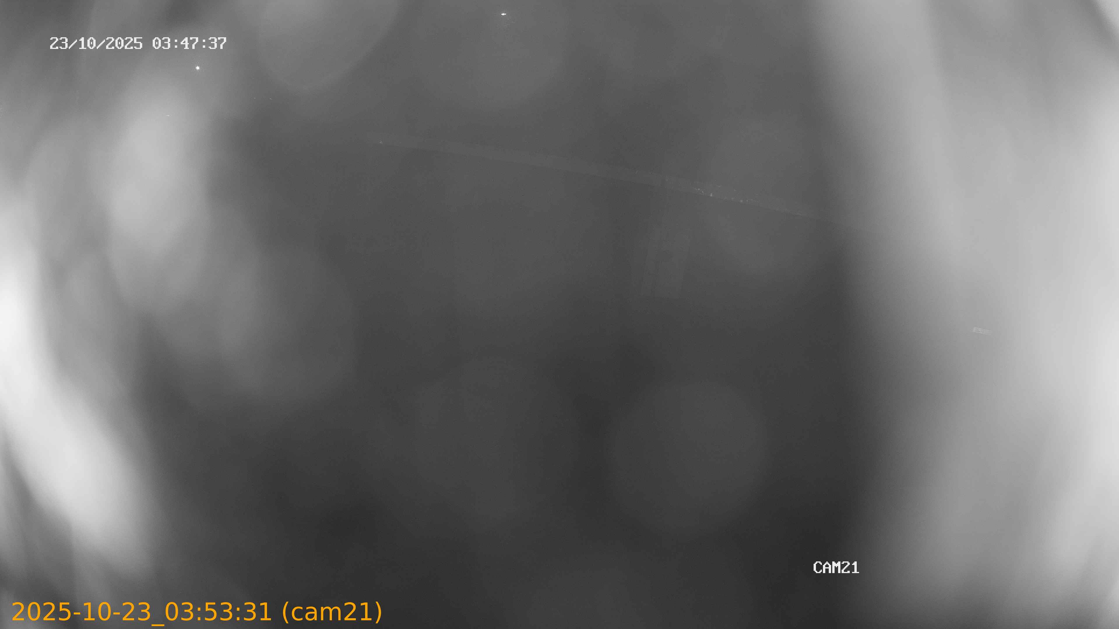 20251023035331
