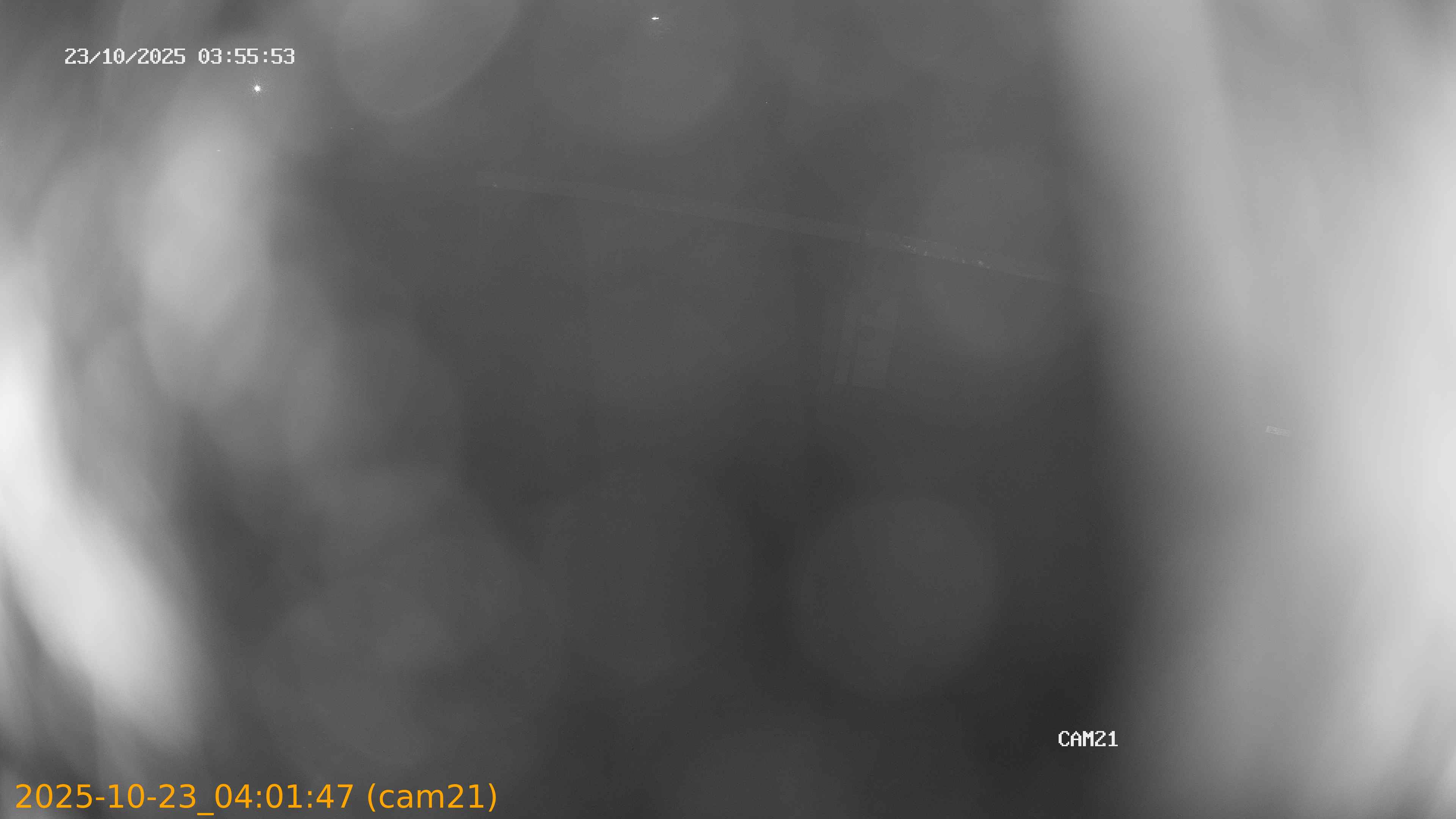 20251023040147