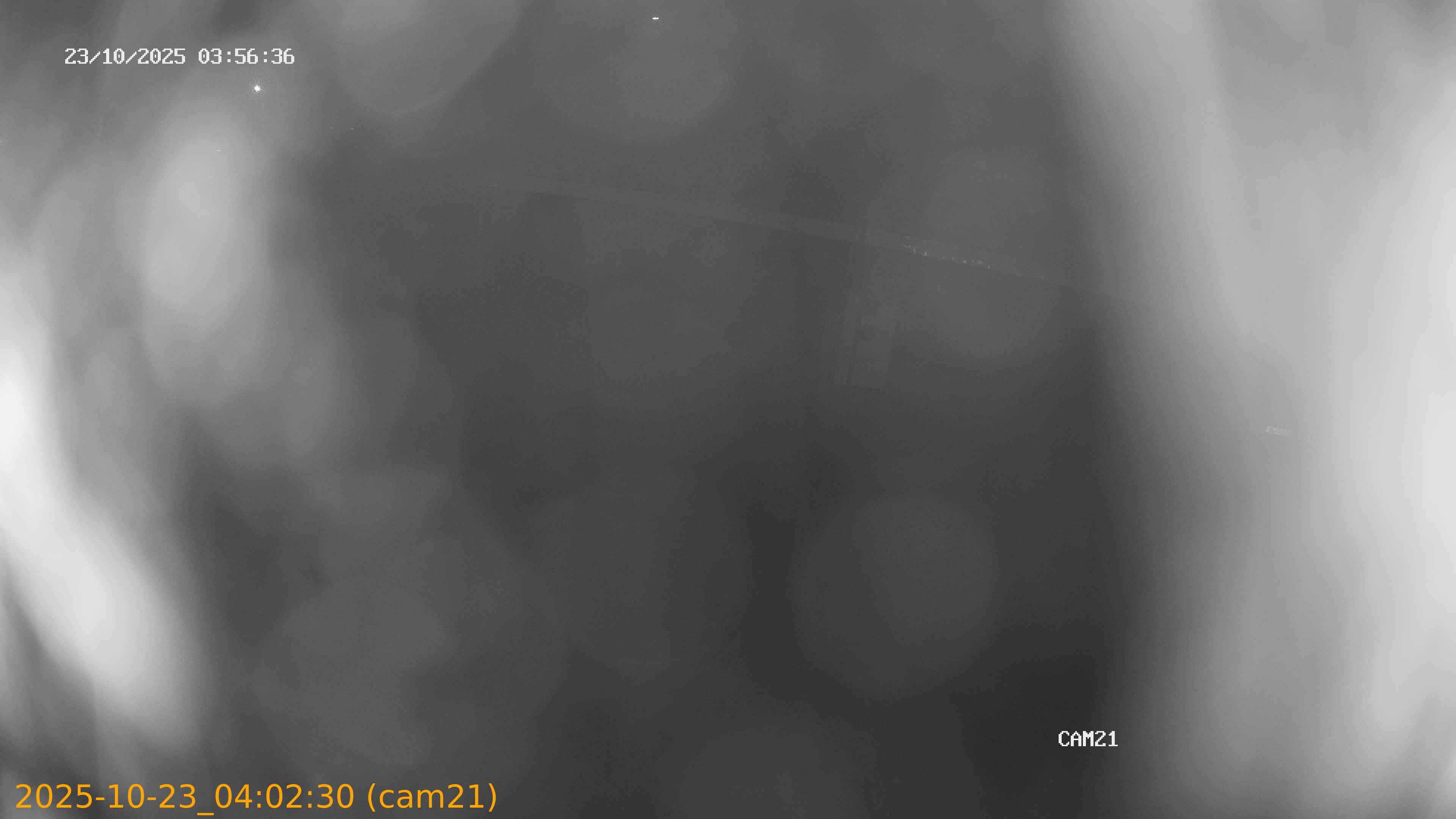 20251023040230