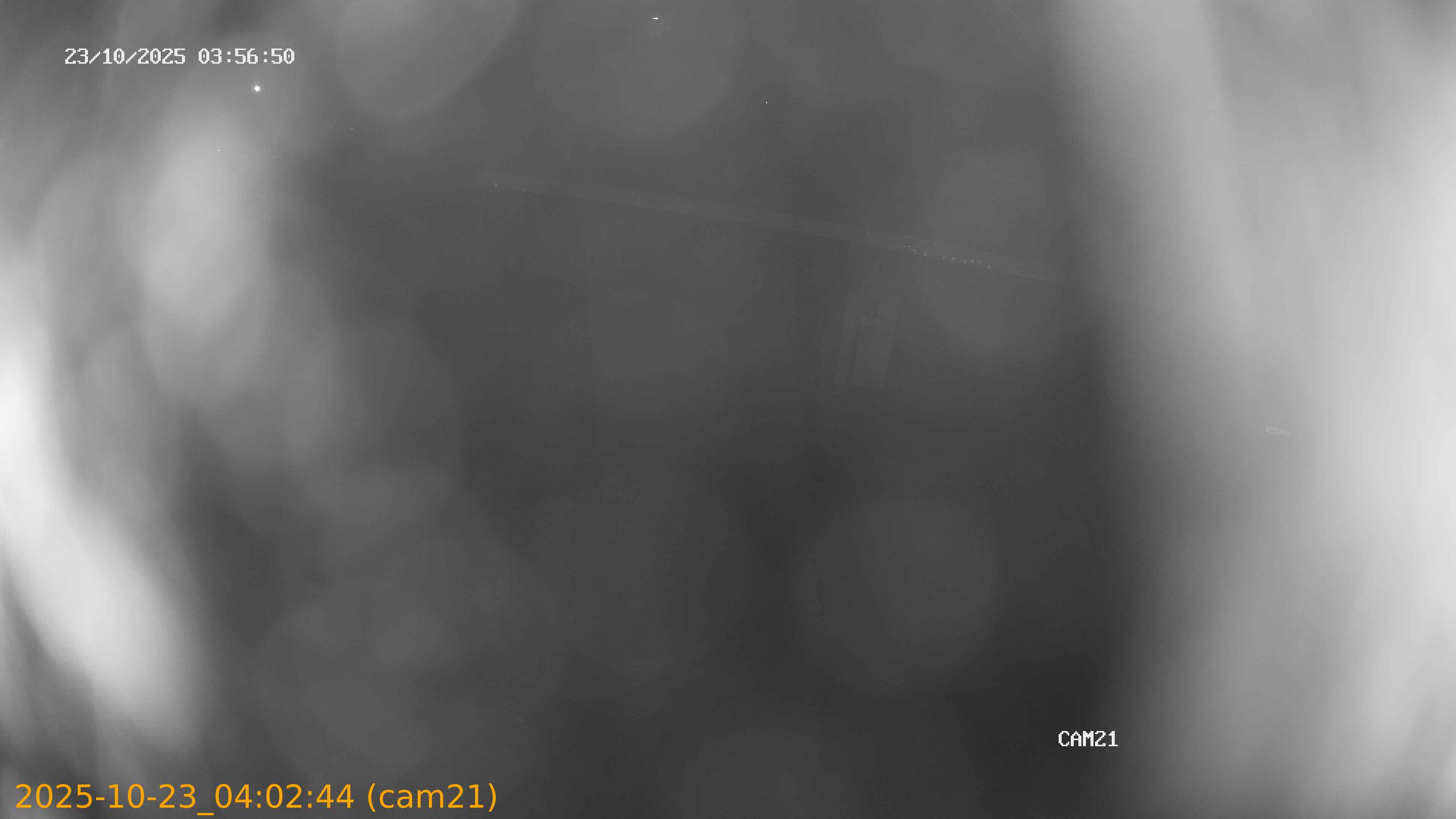 20251023040244