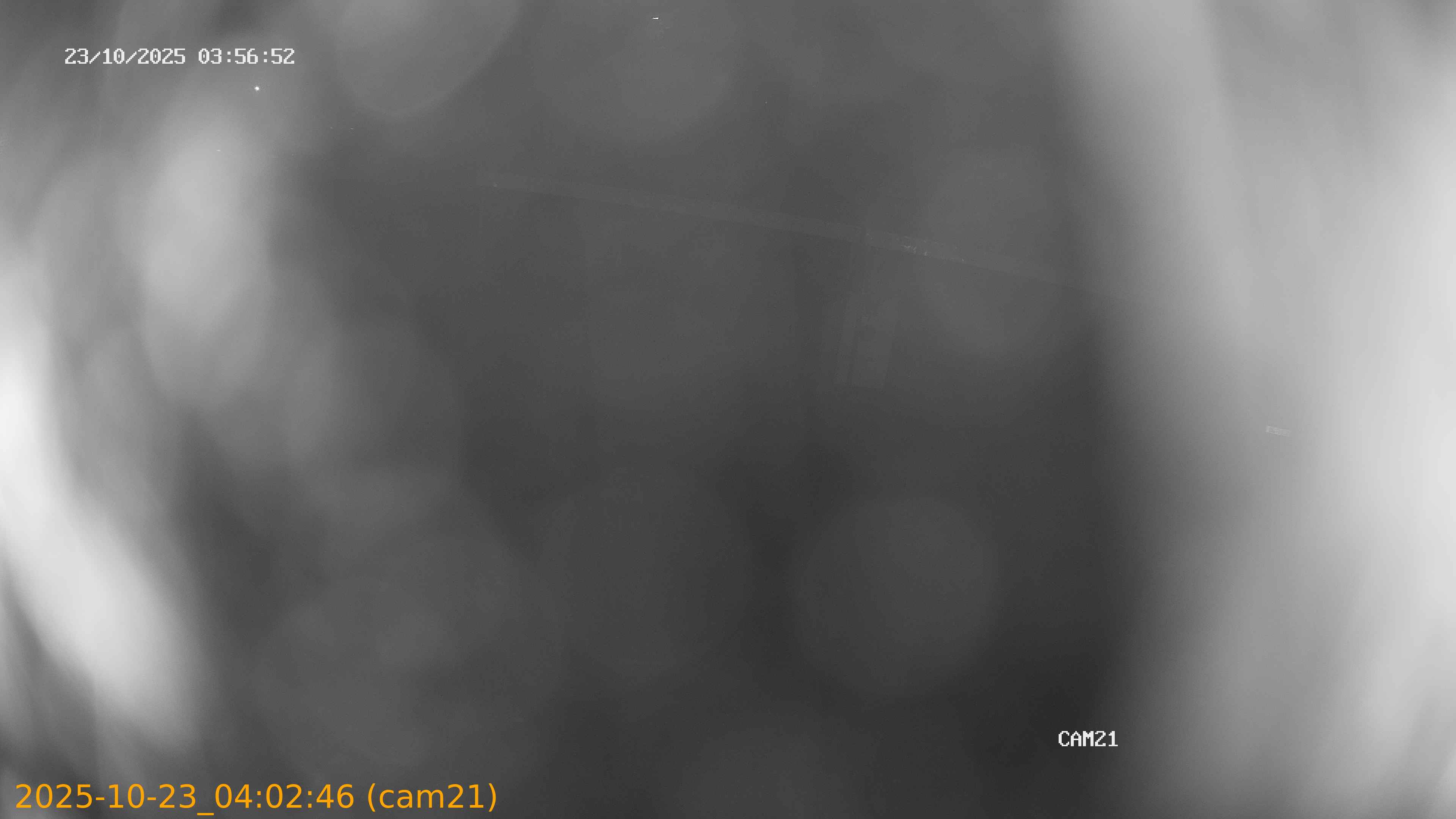 20251023040246