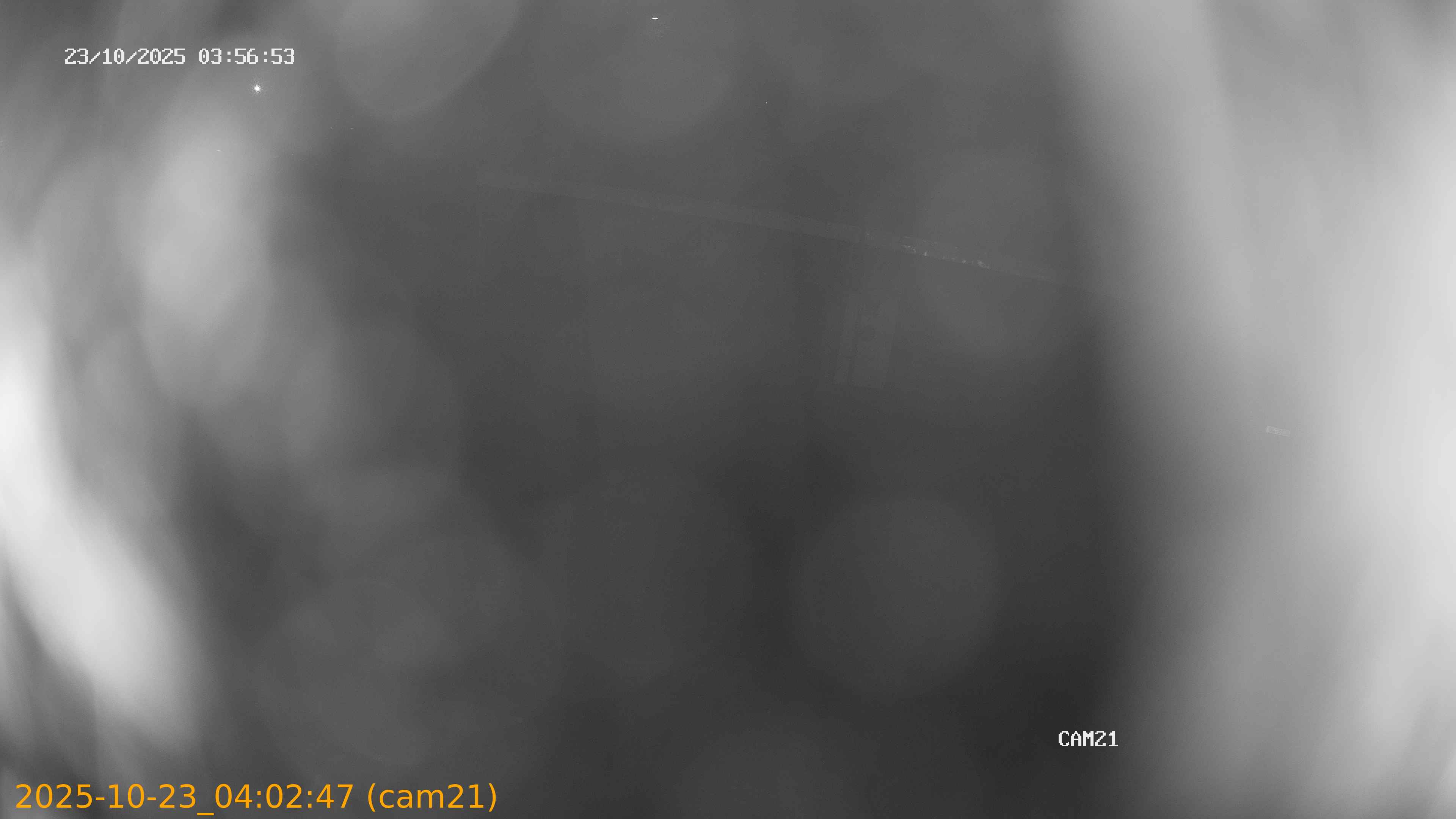 20251023040247