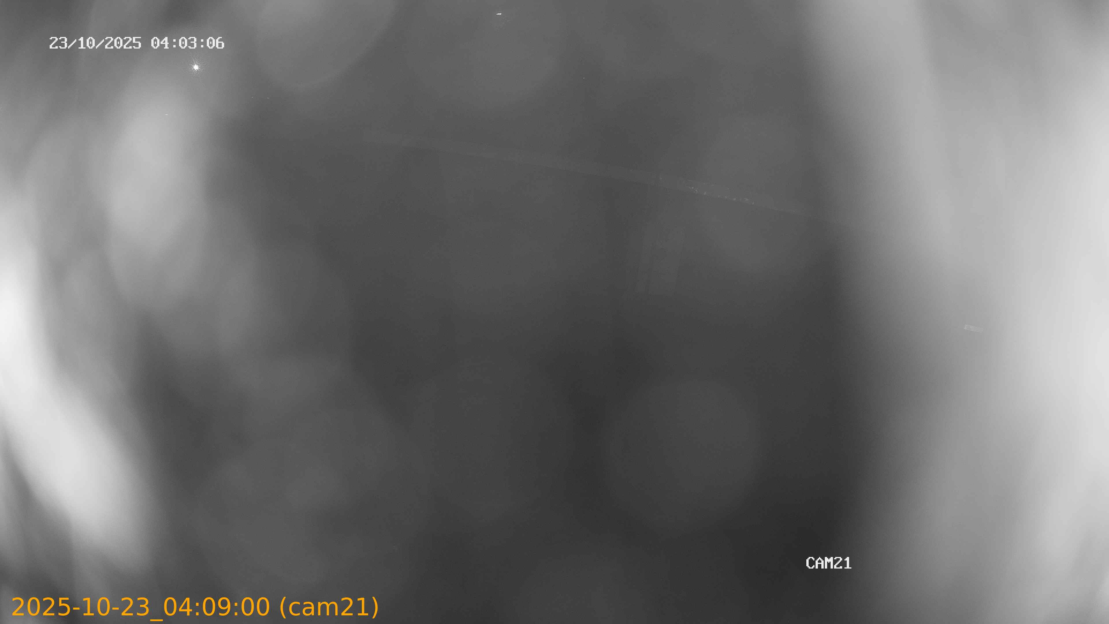 20251023040900