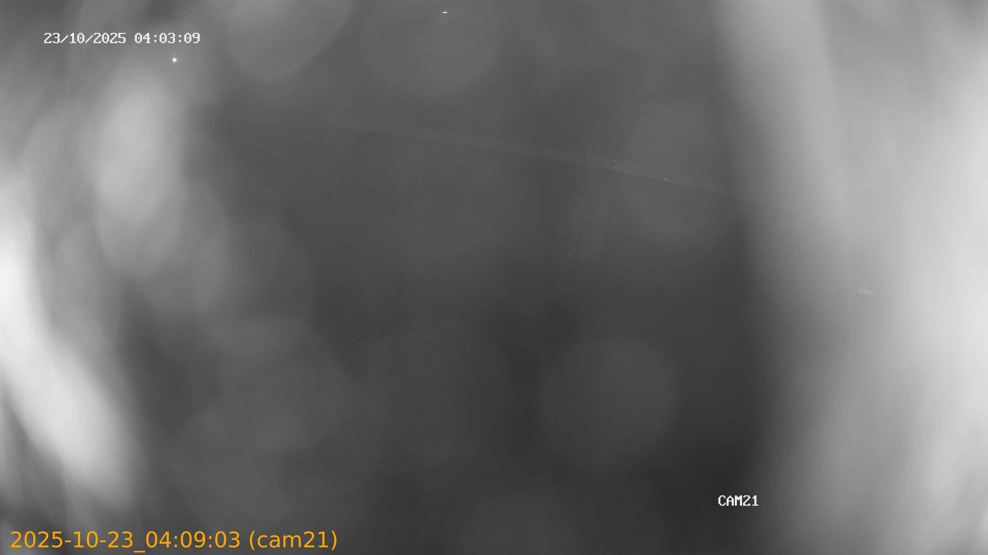 20251023040903