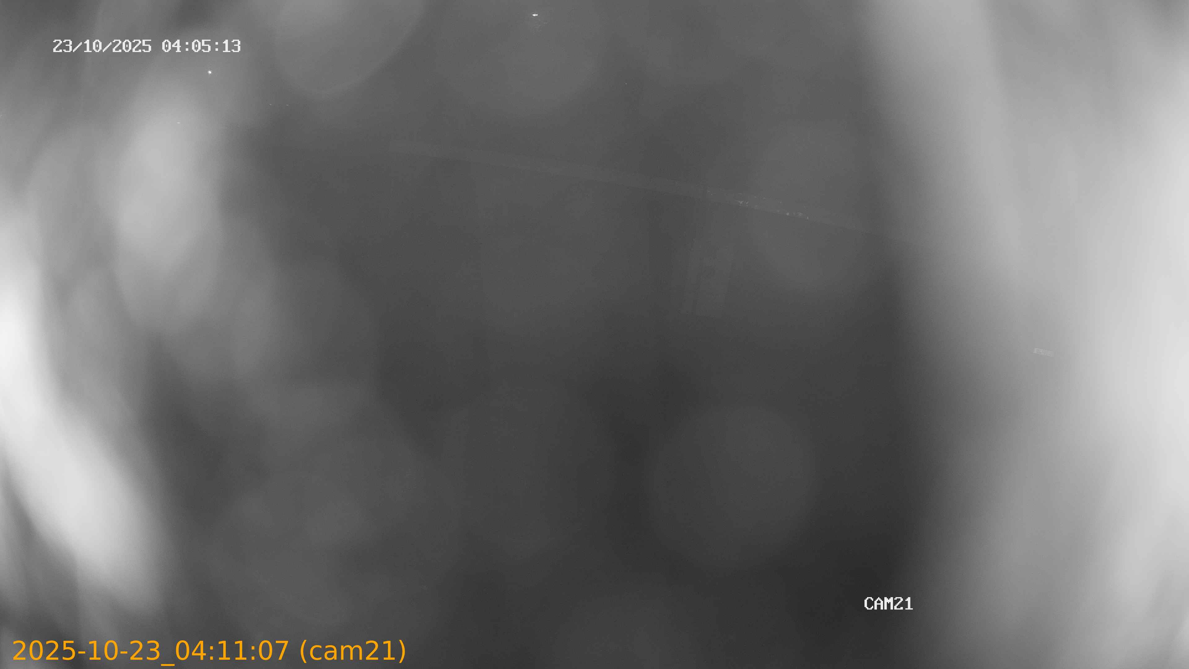 20251023041107