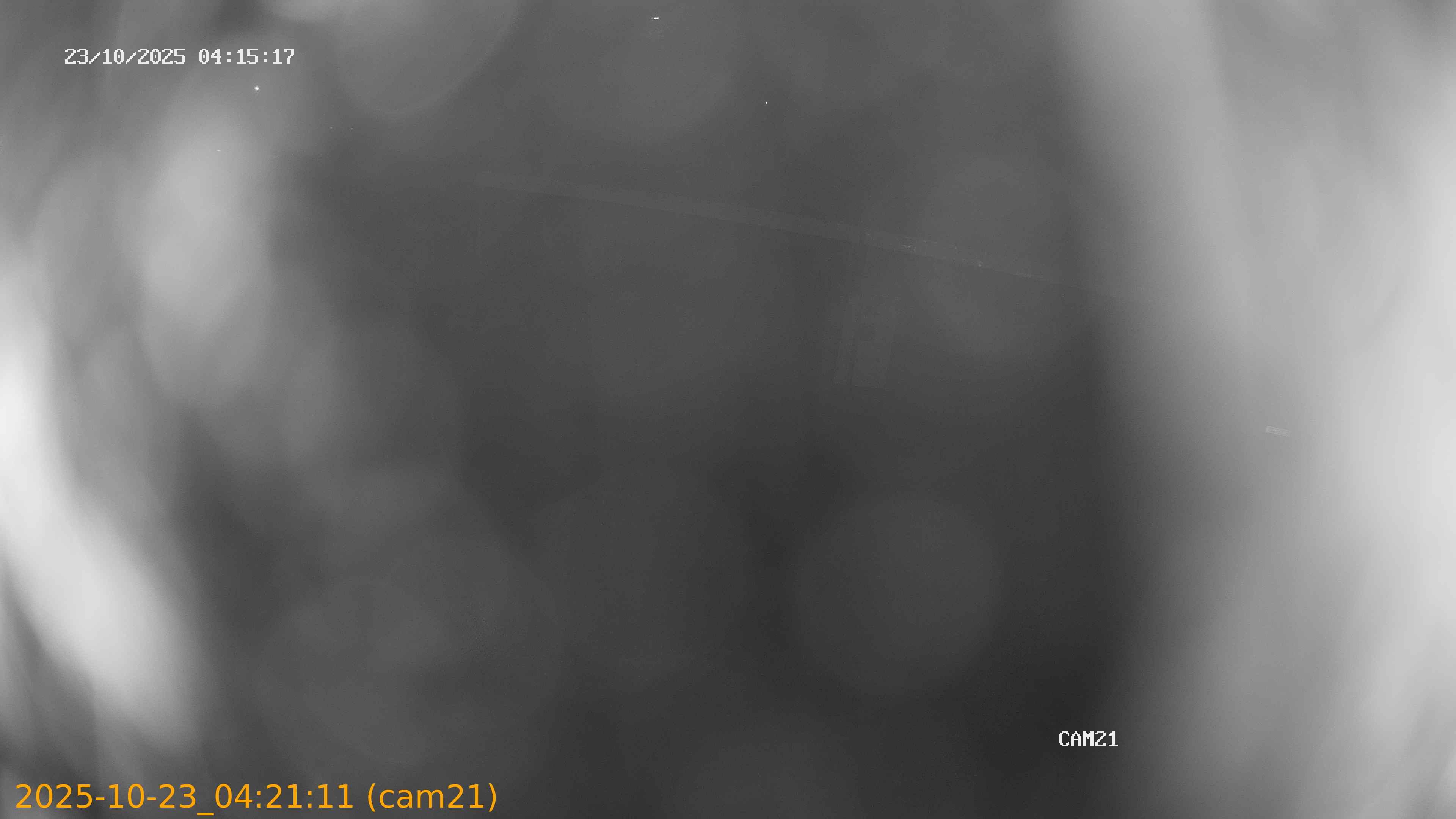 20251023042111