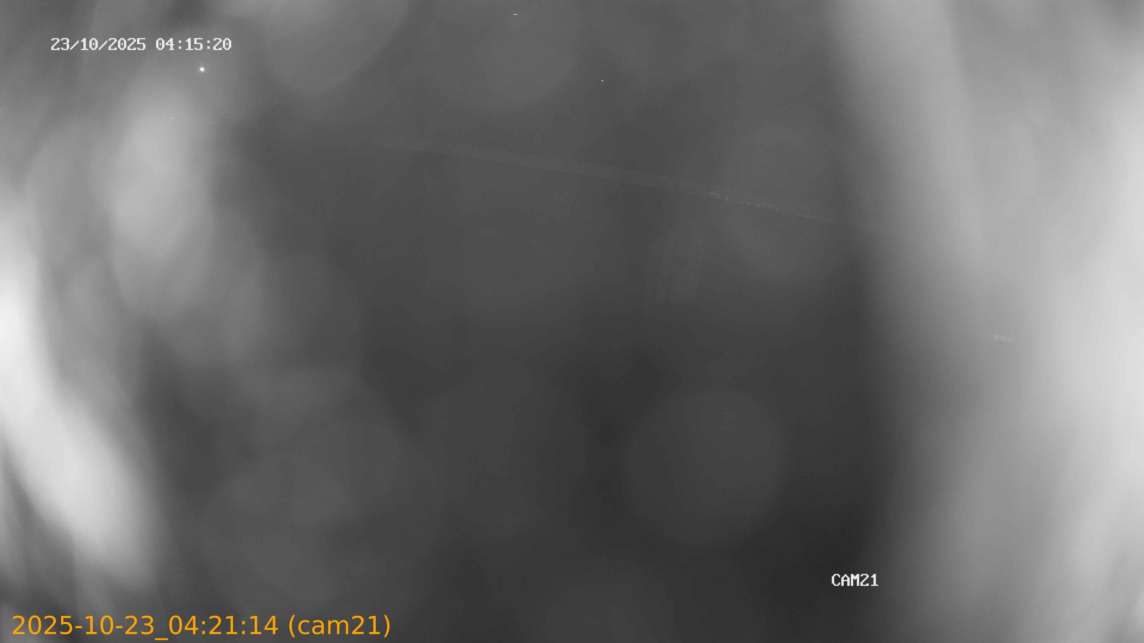 20251023042114