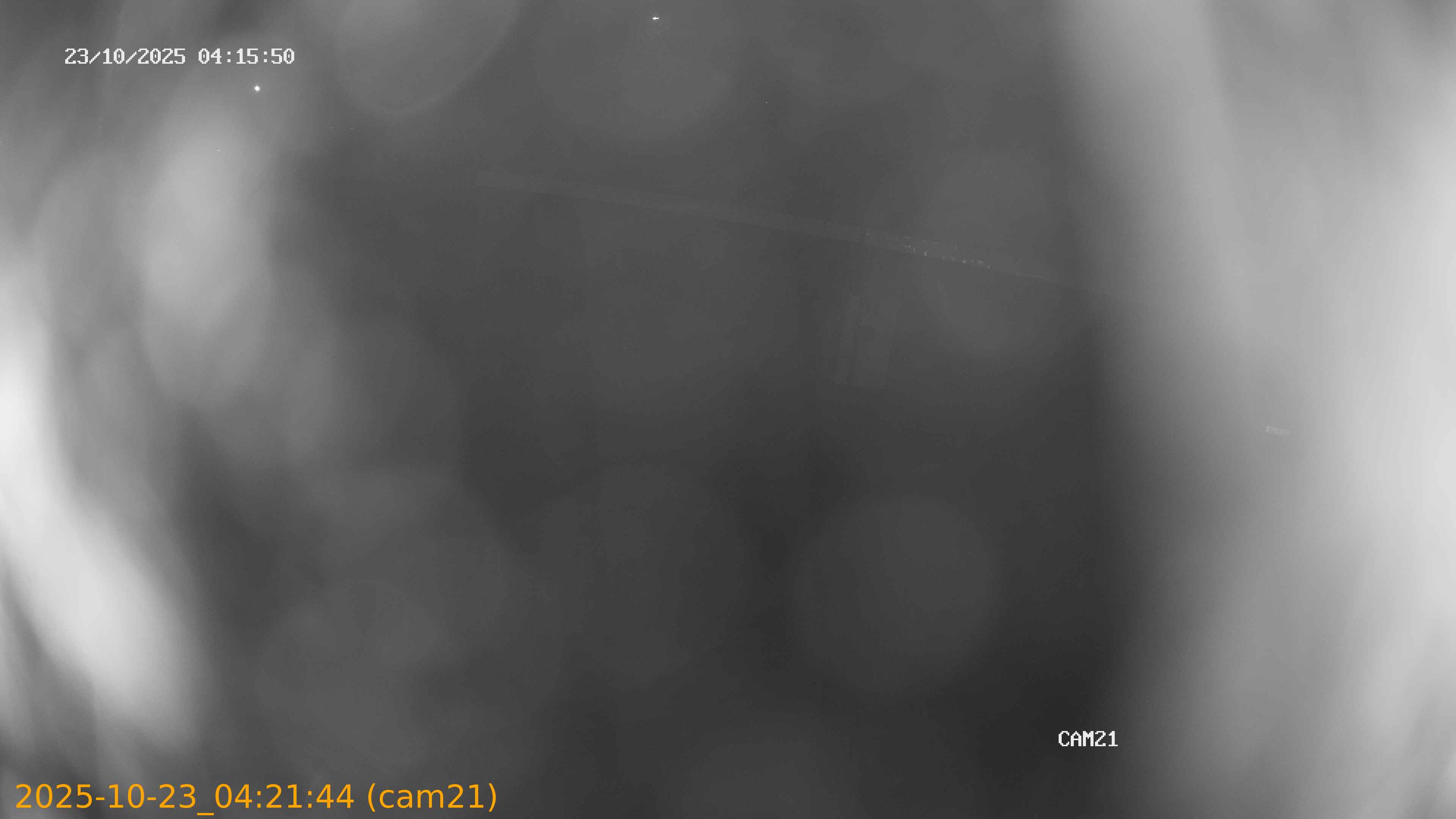 20251023042144