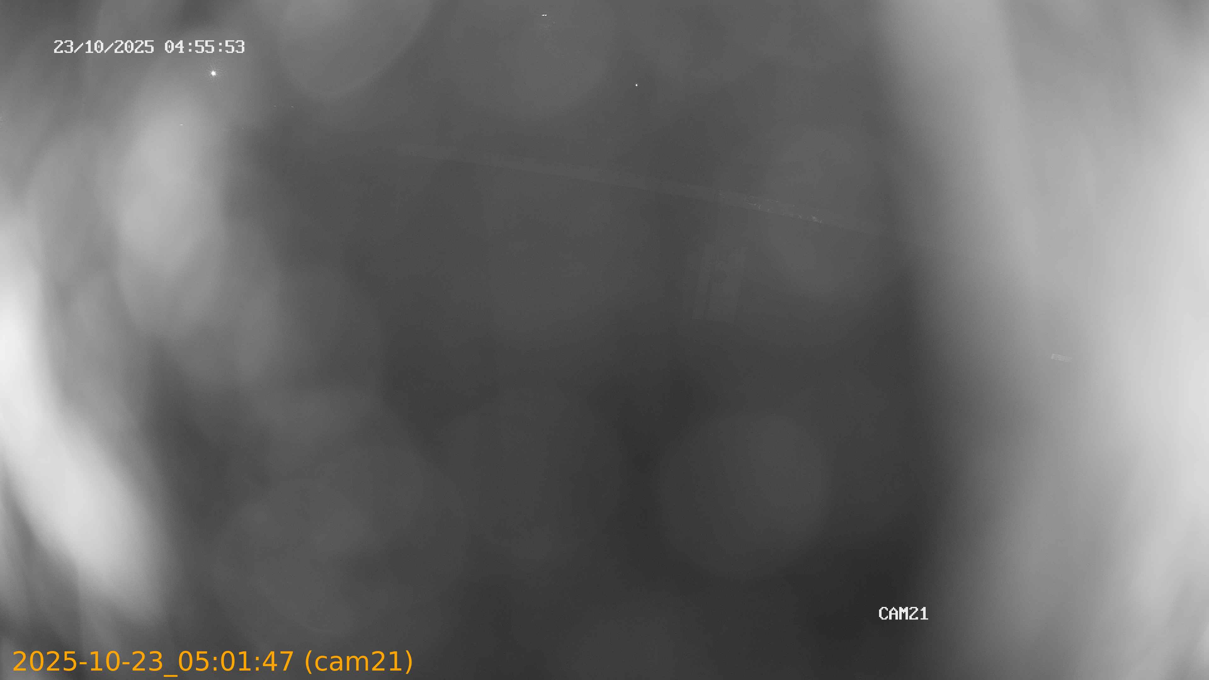 20251023050147
