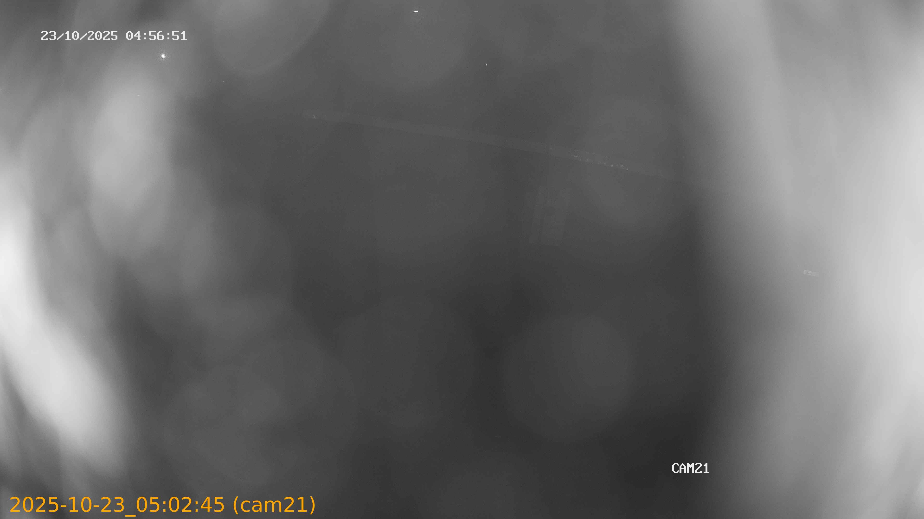 20251023050245