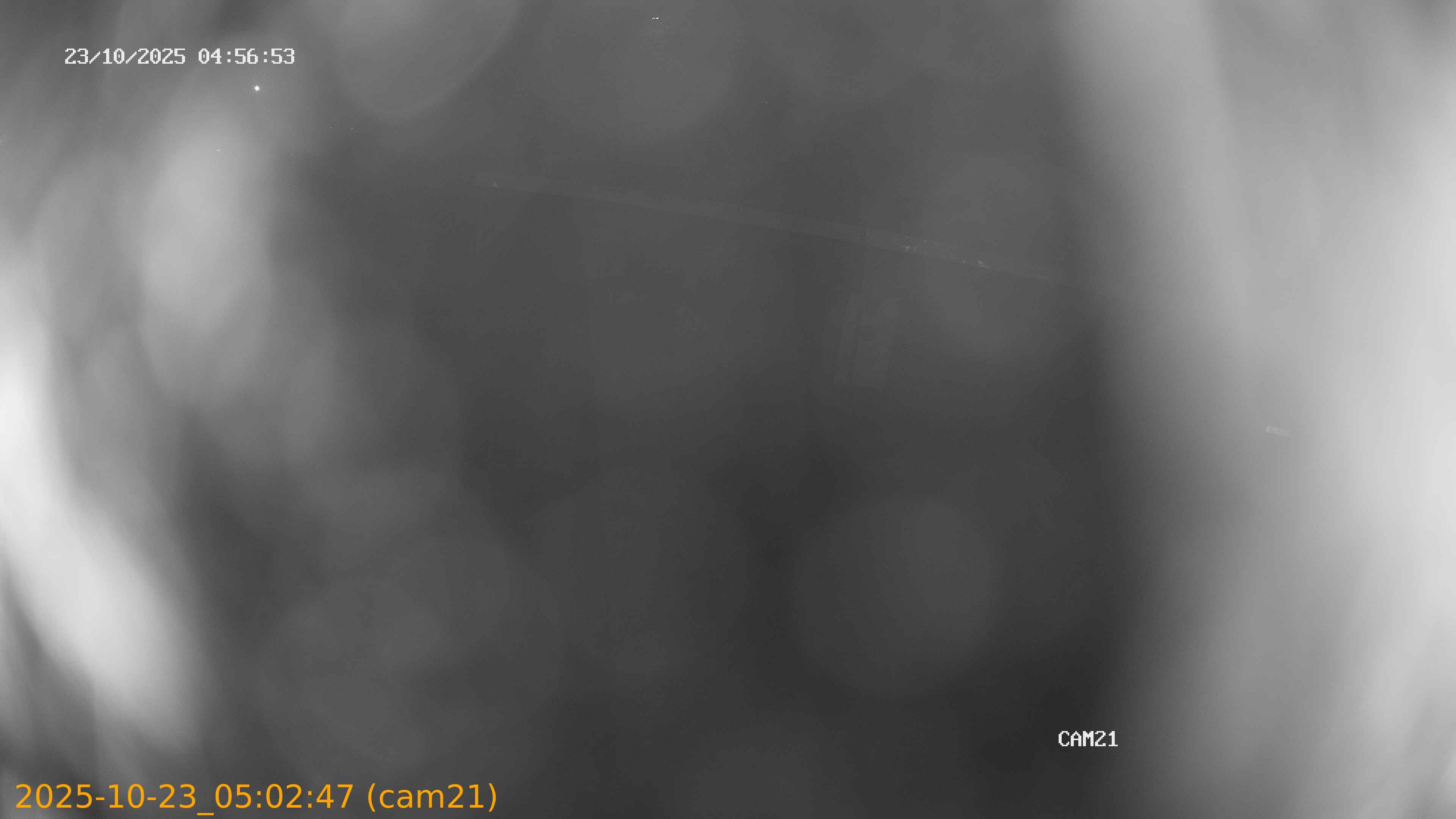 20251023050247