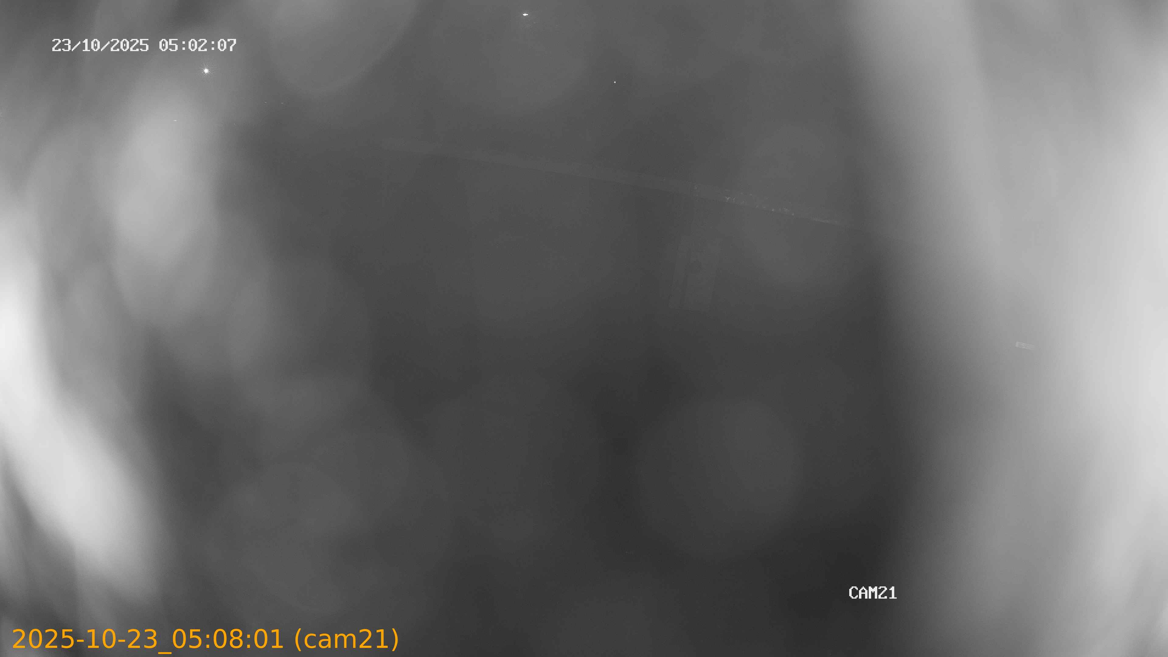 20251023050801