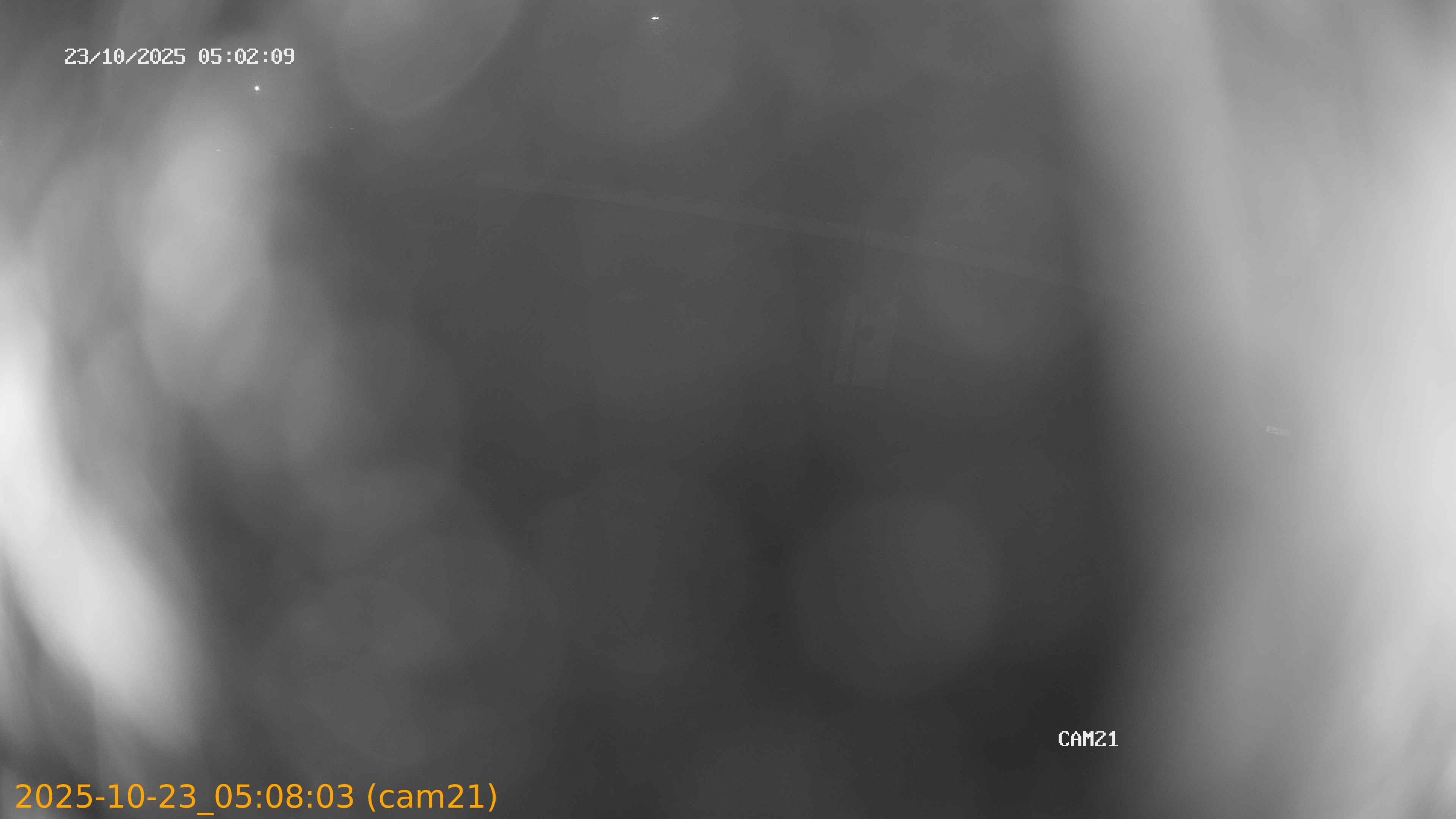 20251023050803