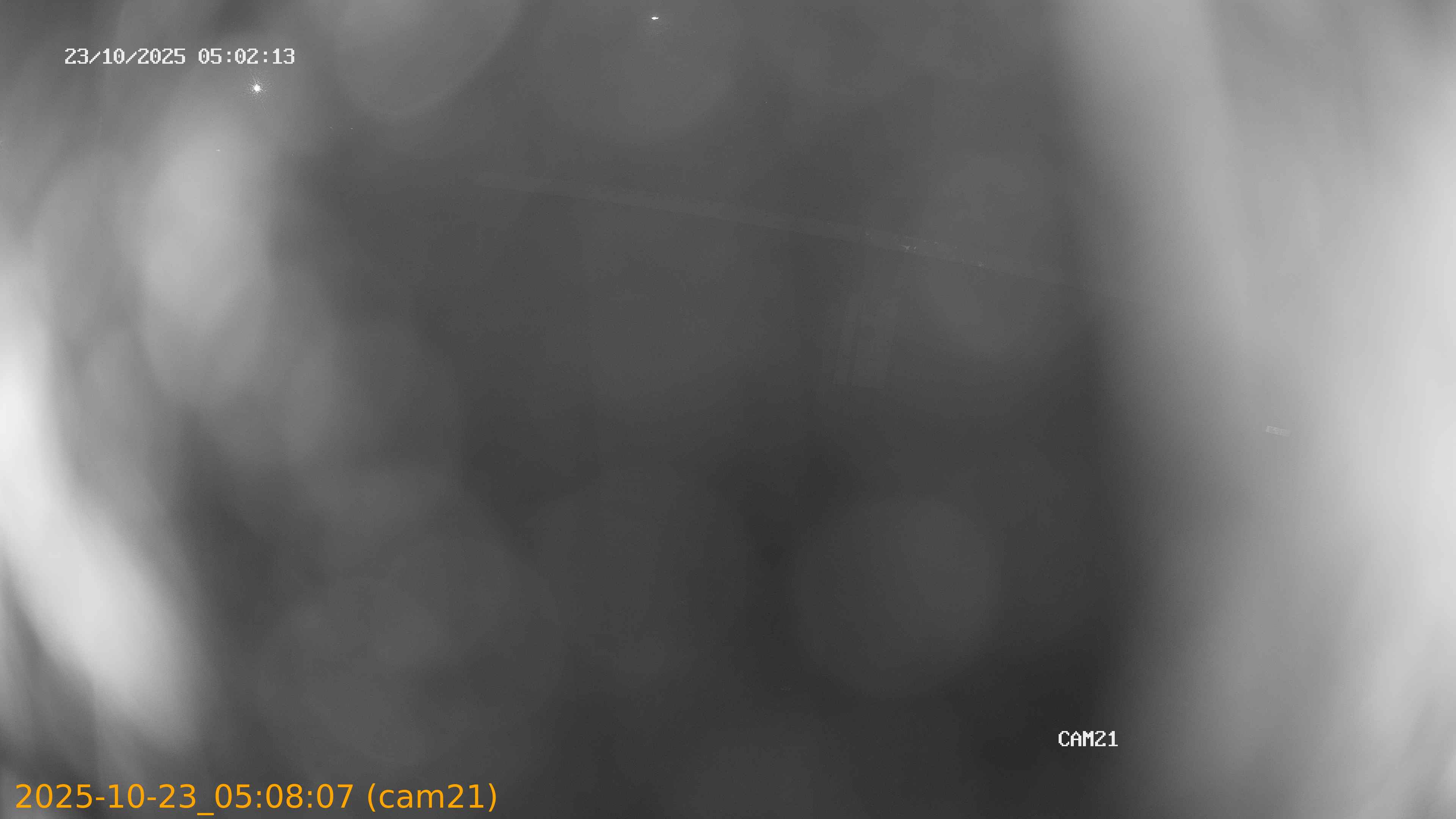 20251023050807