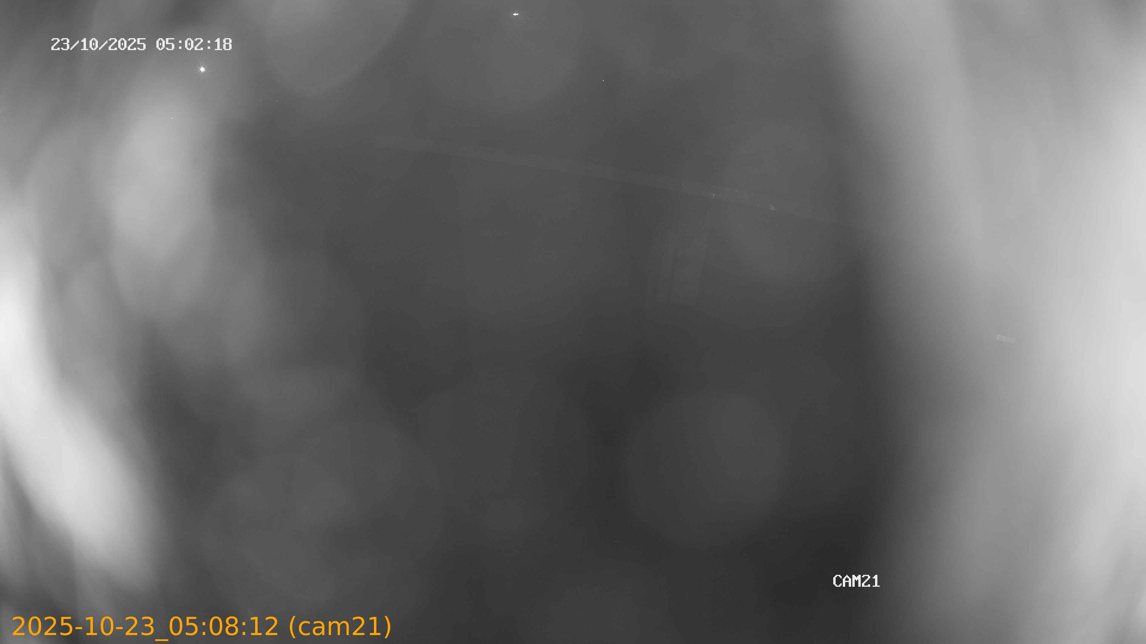 20251023050812