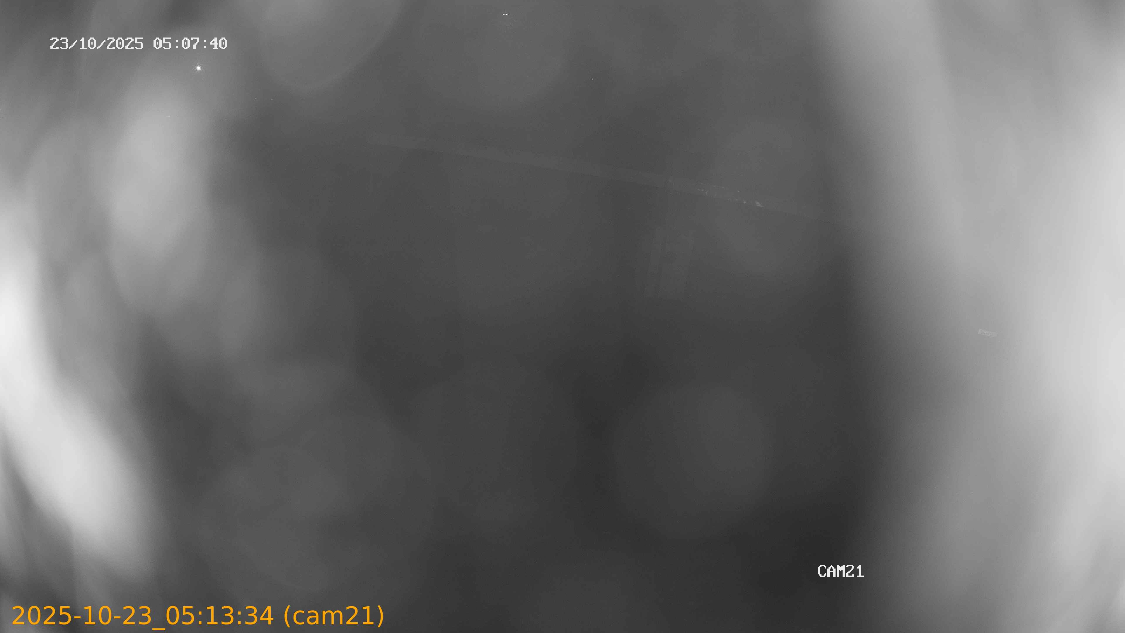 20251023051334
