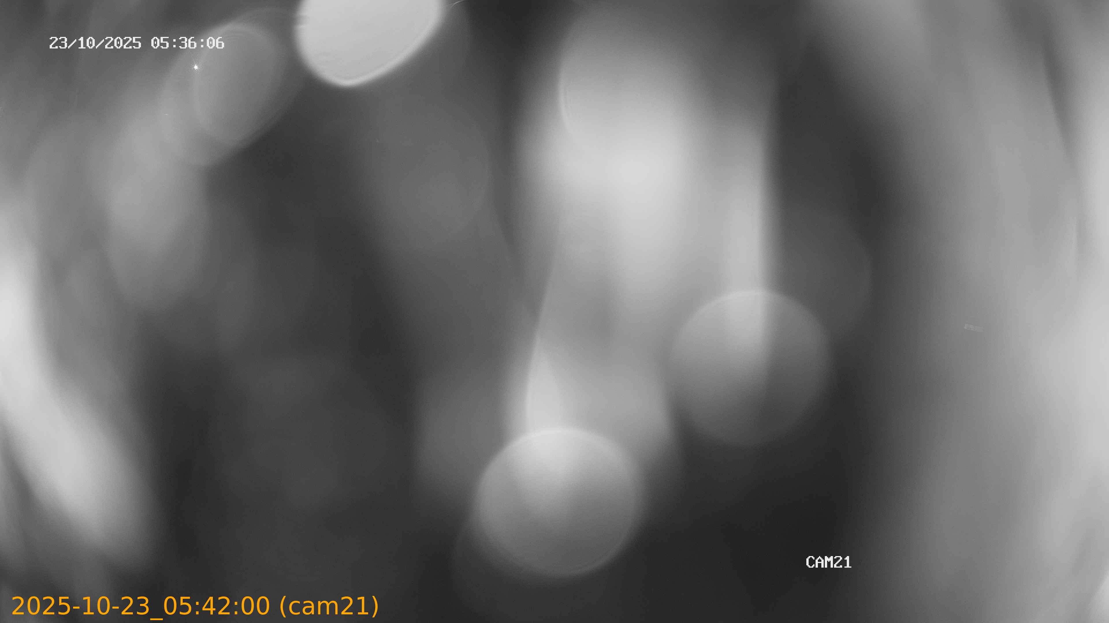 20251023054200