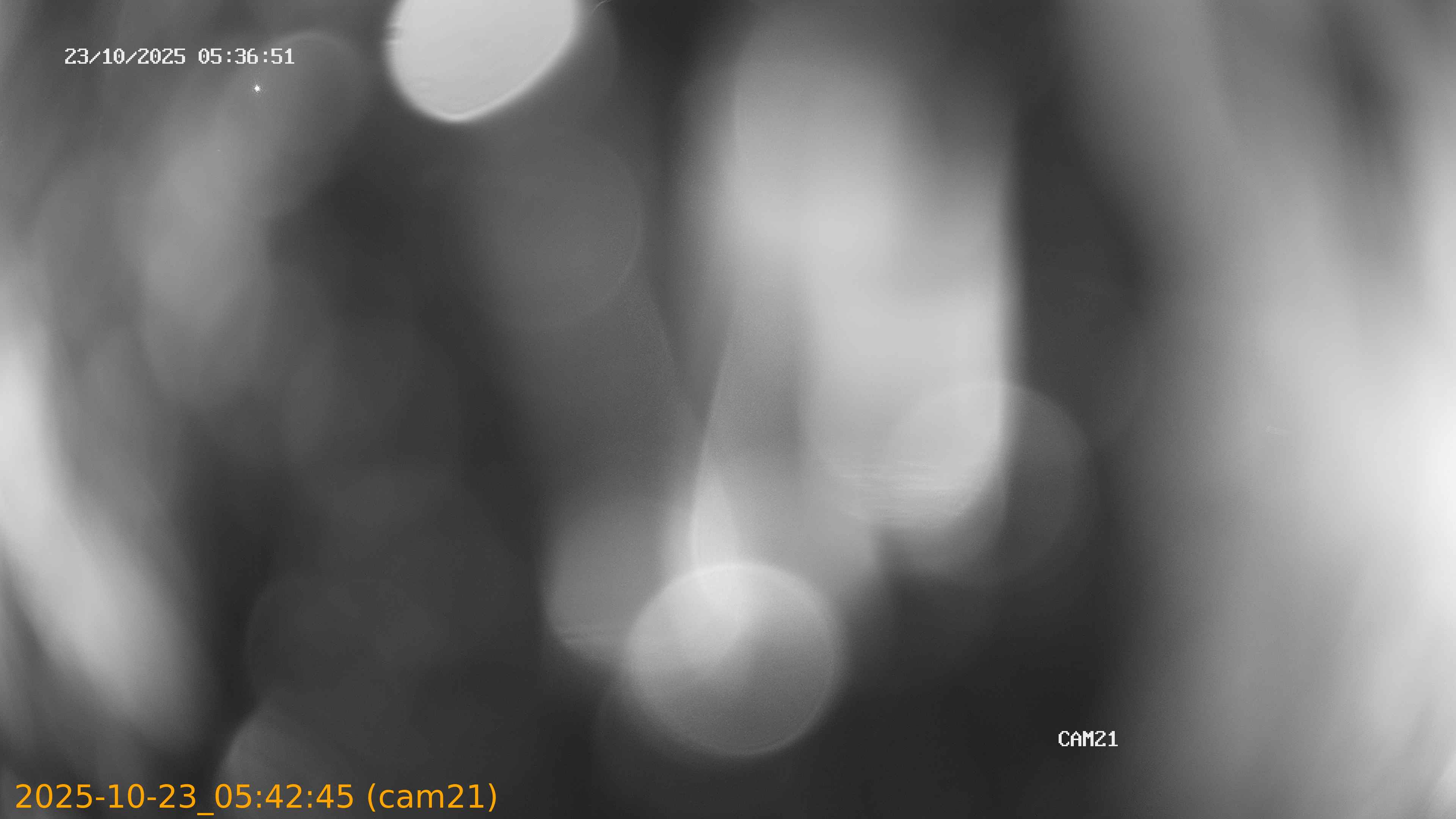 20251023054245