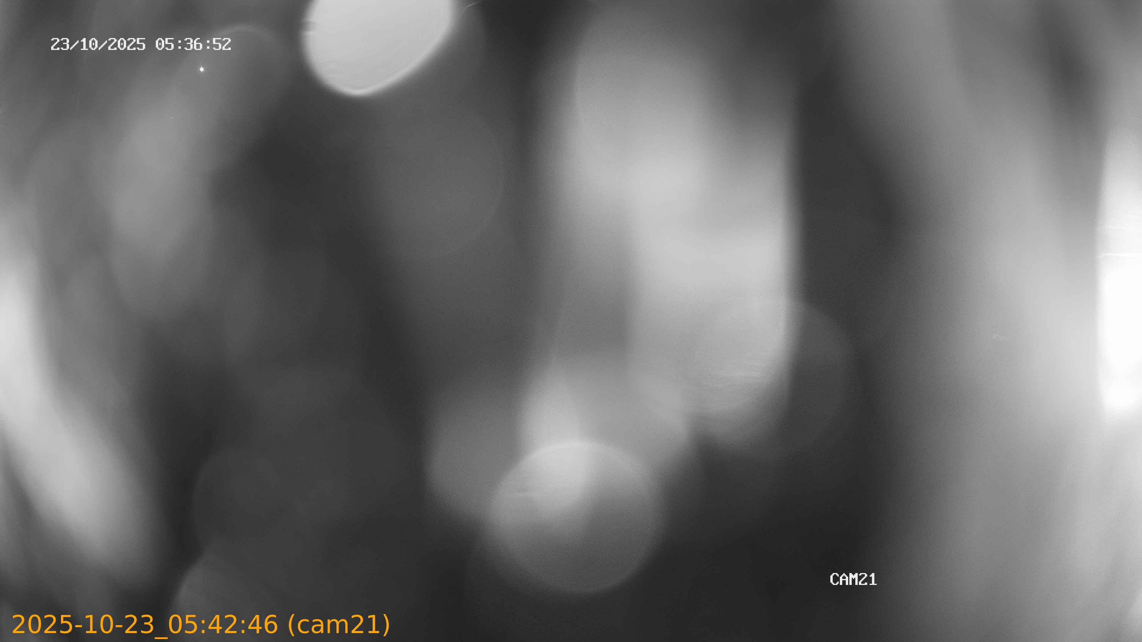 20251023054246
