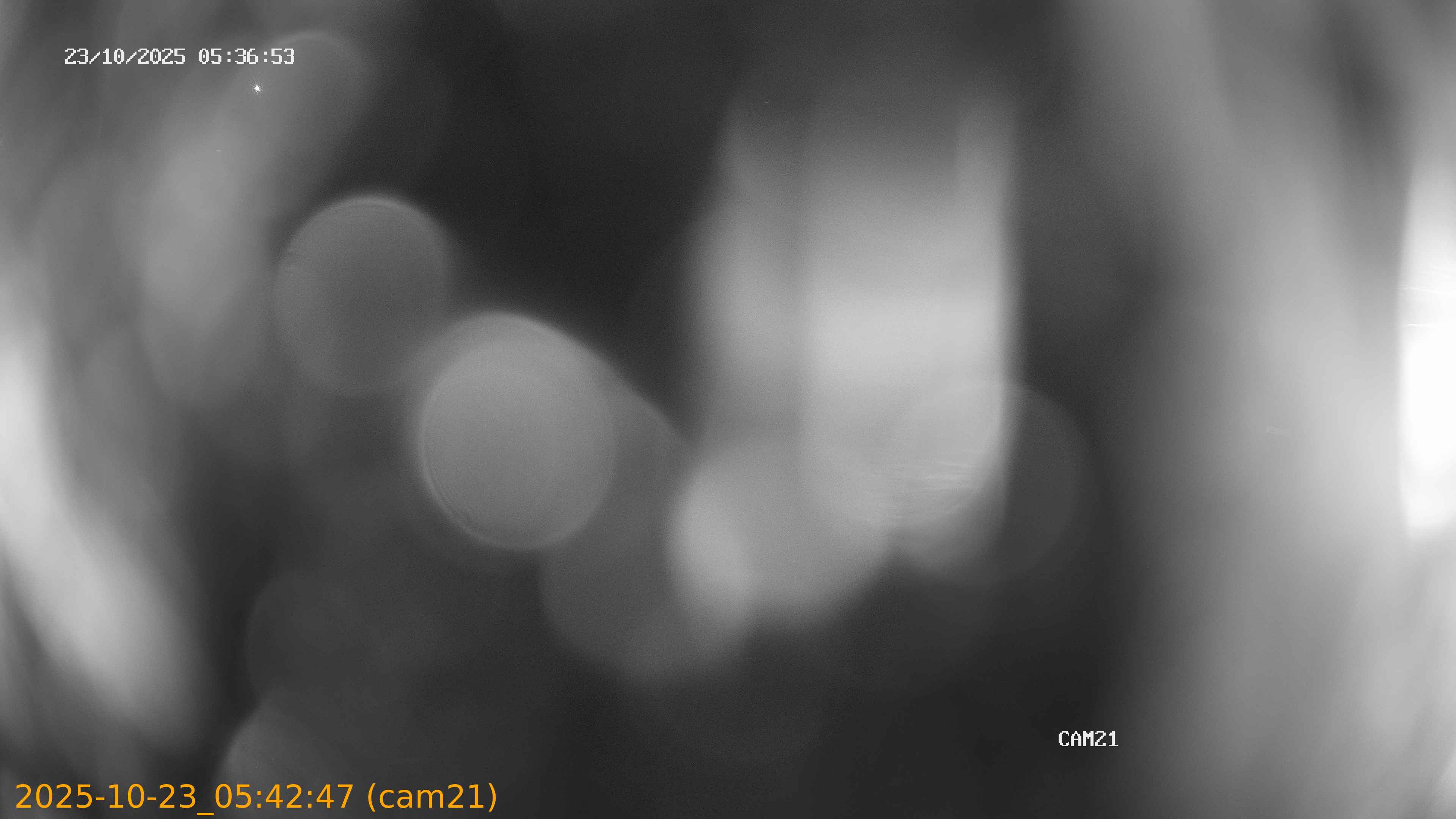 20251023054247